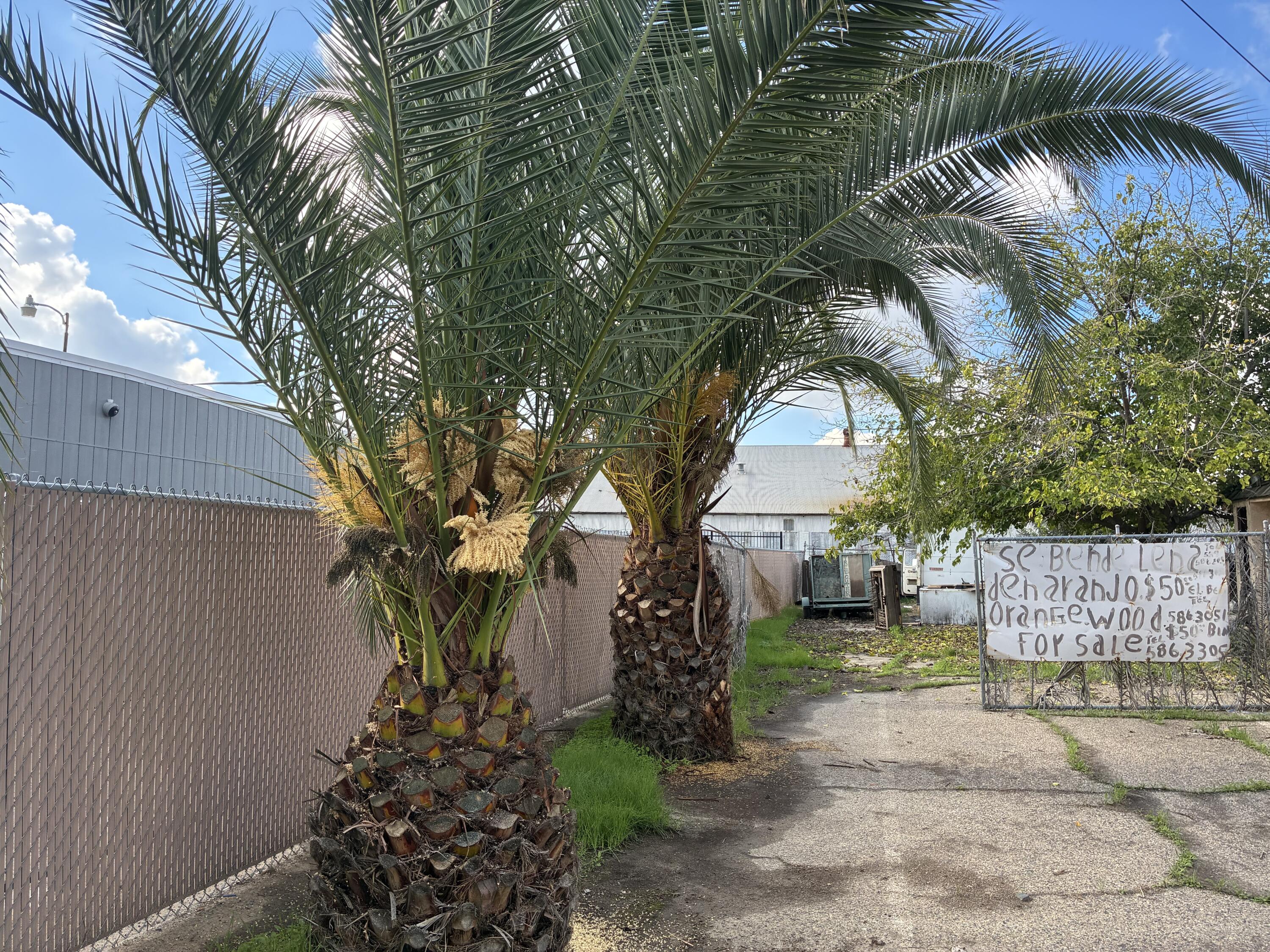 19823 Orange Belt Dr, Strathmore, CA 93267