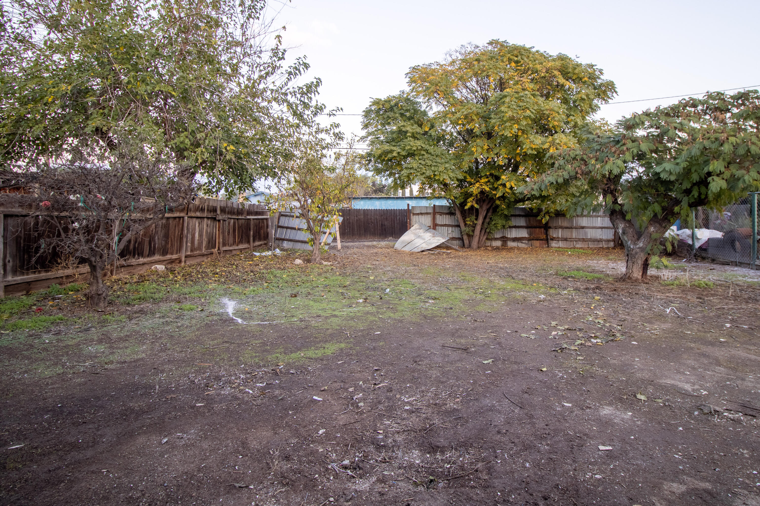 19514 Rd 230, Strathmore, CA 93267