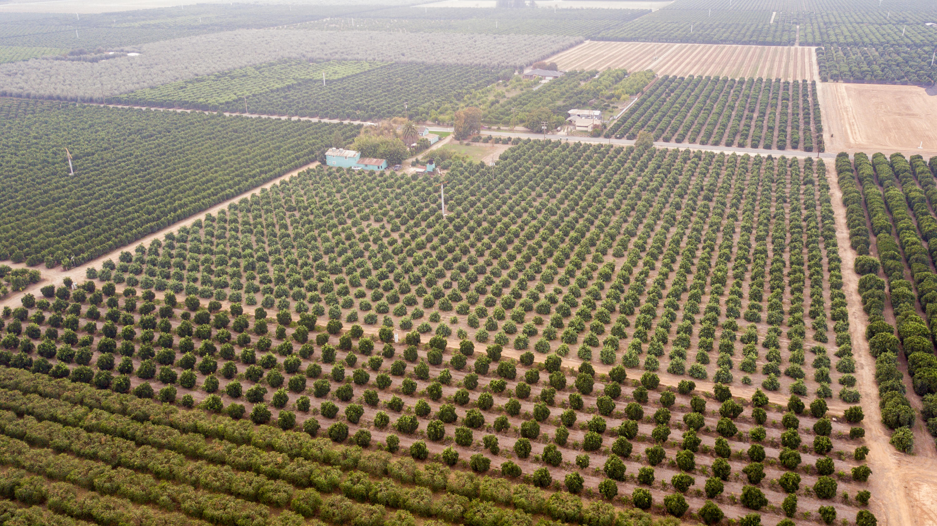 20210 Road 208, Lindsay, CA 93247