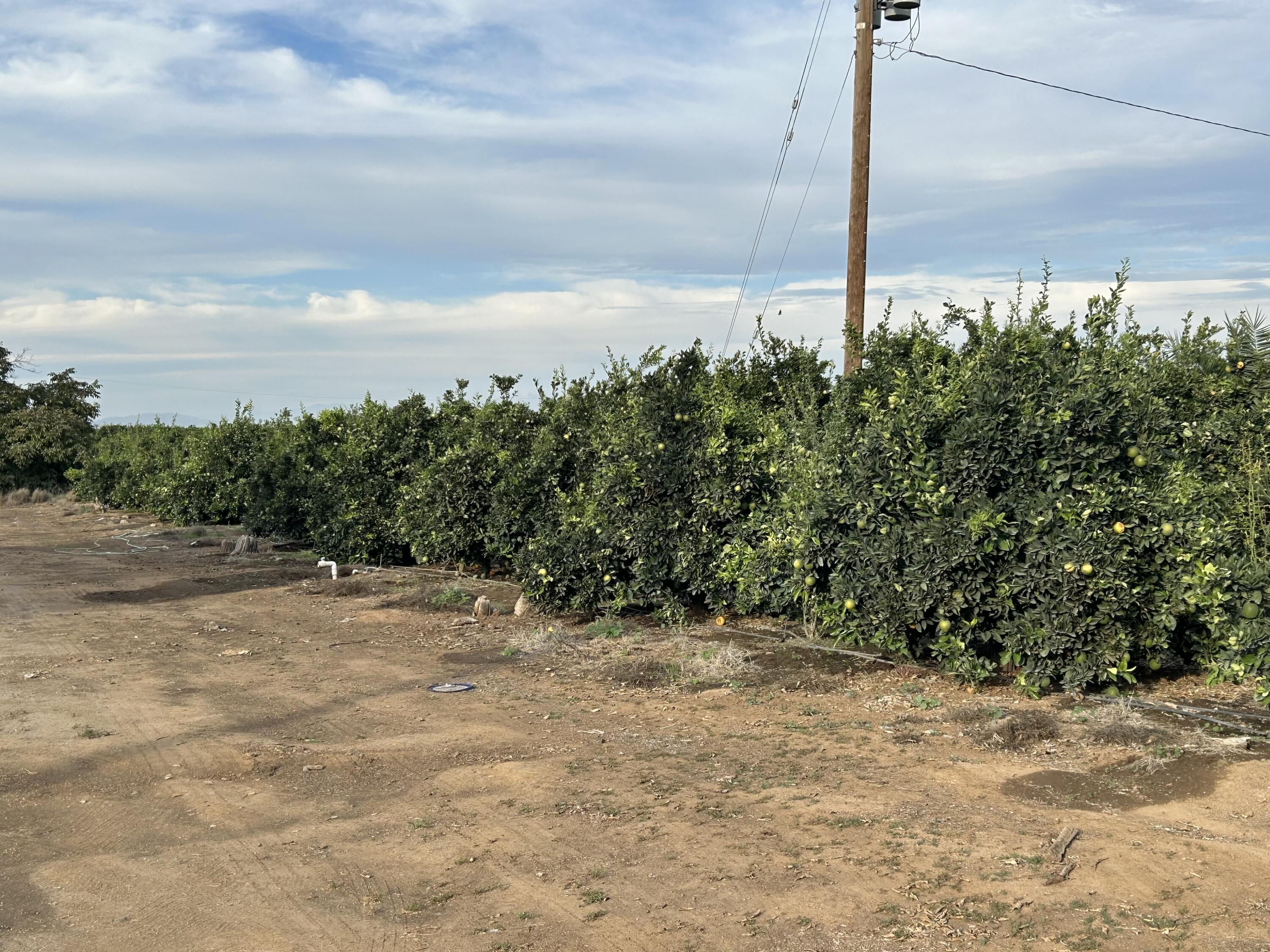 20210 Road 208, Lindsay, CA 93247