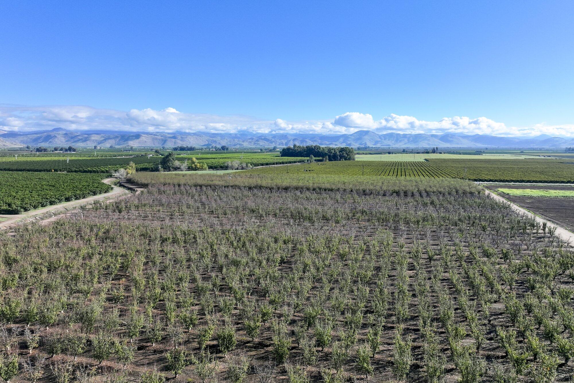 0 S Crawford Ave, Reedley, CA 93654