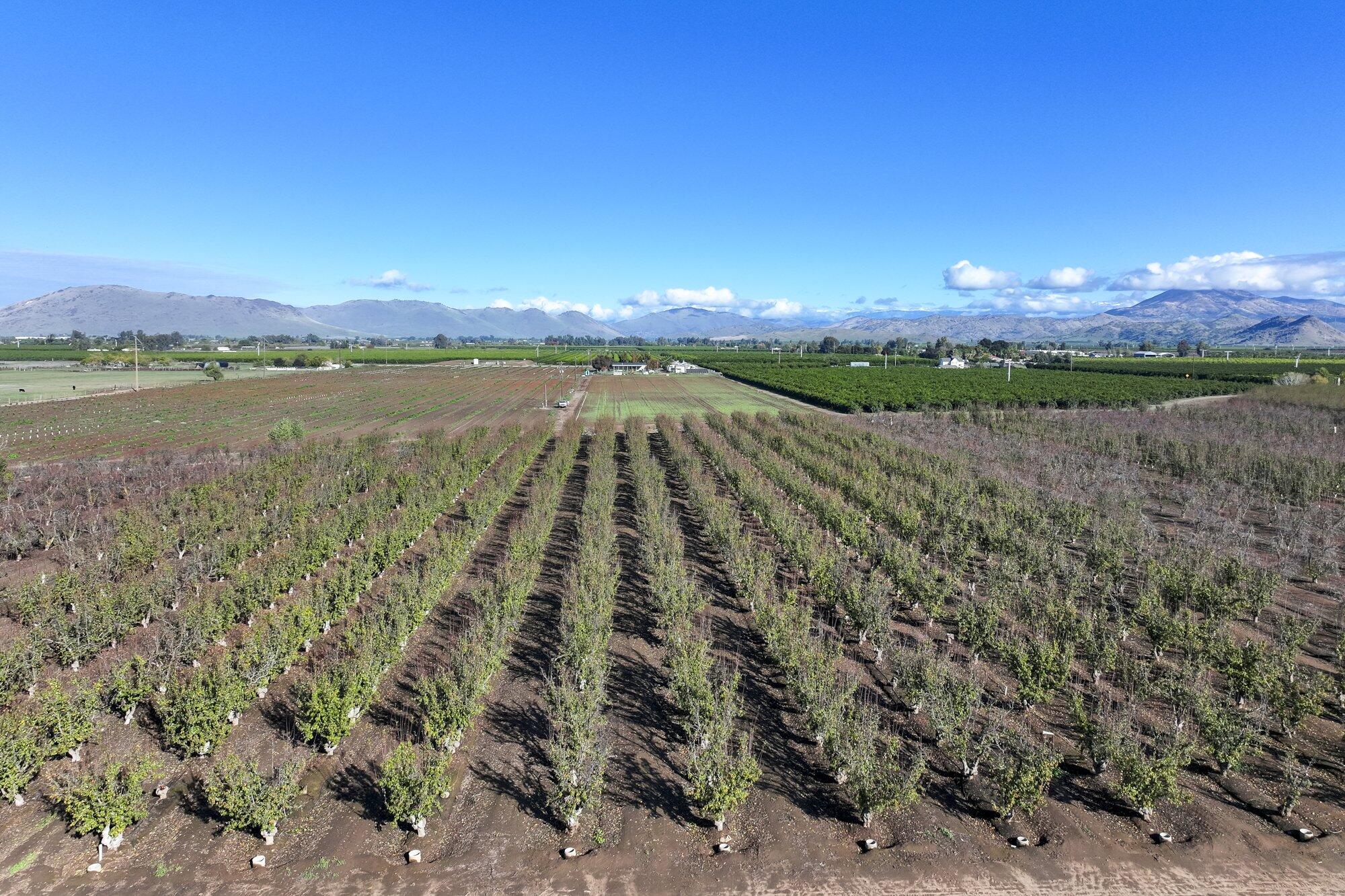 0 S Crawford Ave, Reedley, CA 93654