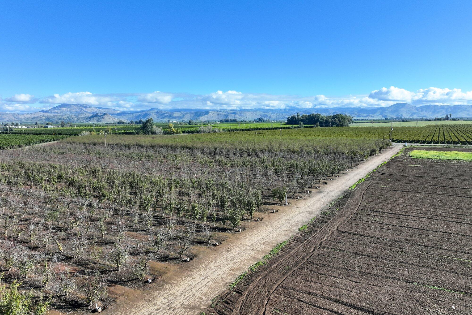 0 S Crawford Ave, Reedley, CA 93654