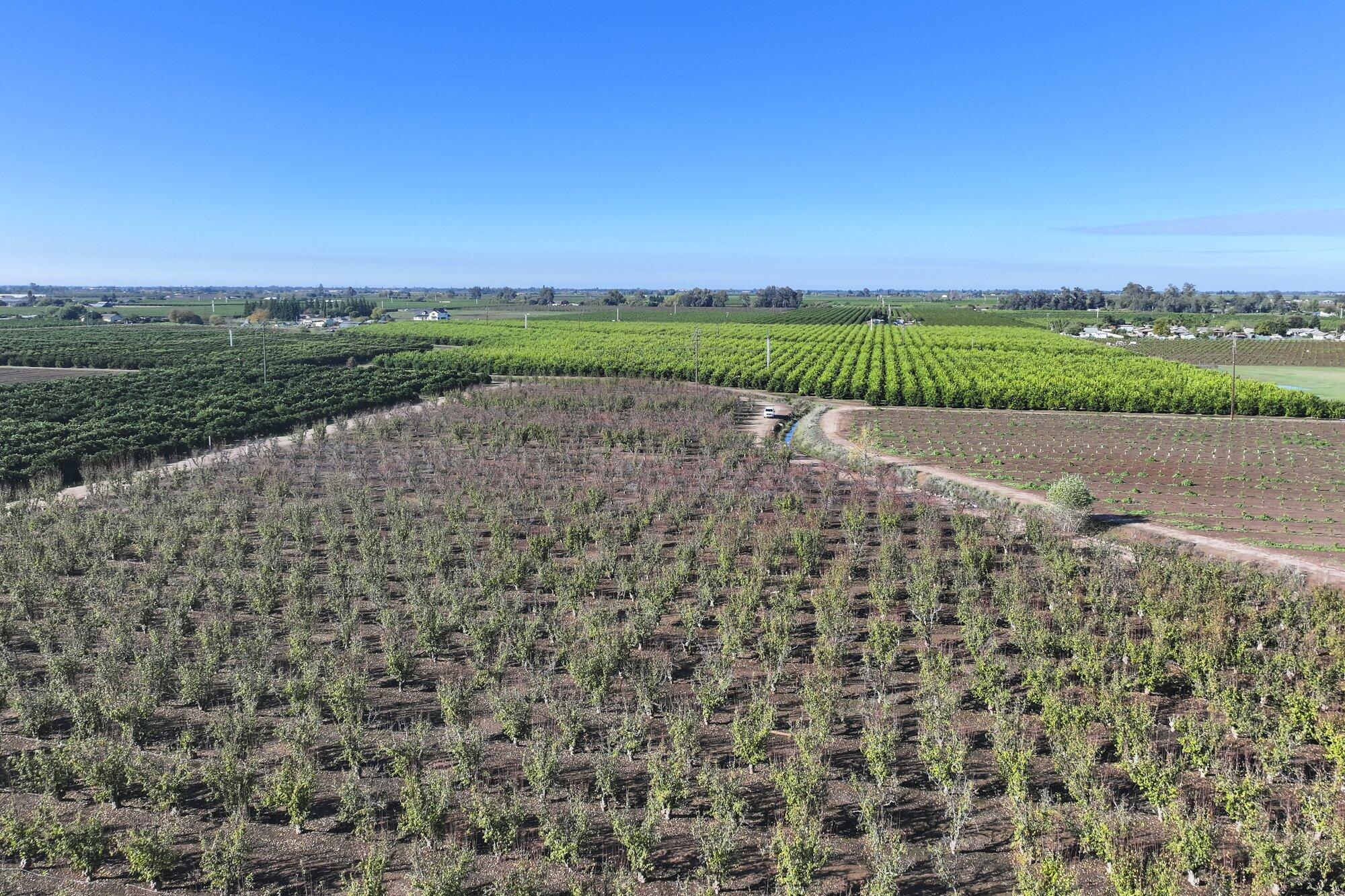 0 S Crawford Ave, Reedley, CA 93654