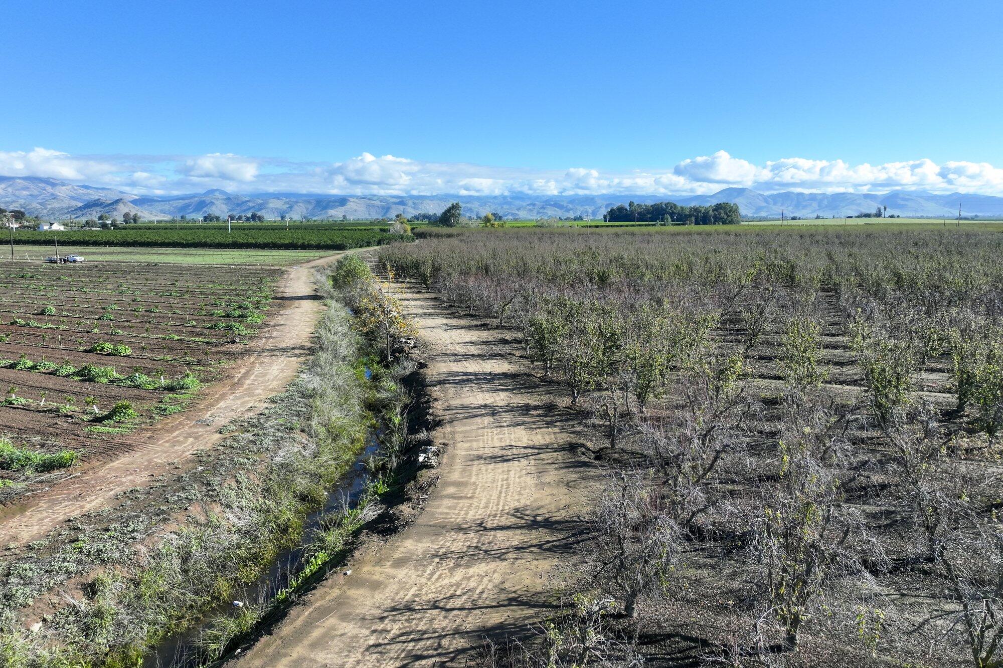 0 S Crawford Ave, Reedley, CA 93654