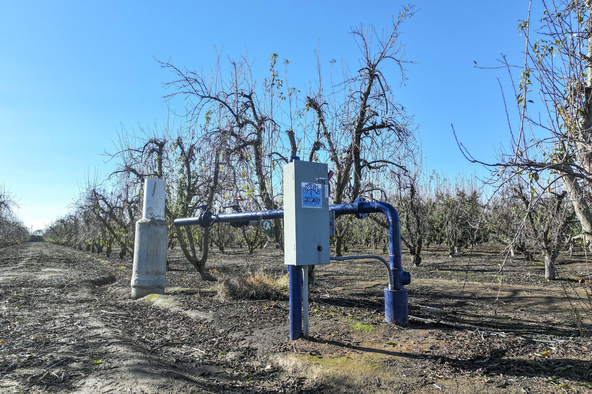 0 S Crawford Ave, Reedley, CA 93654