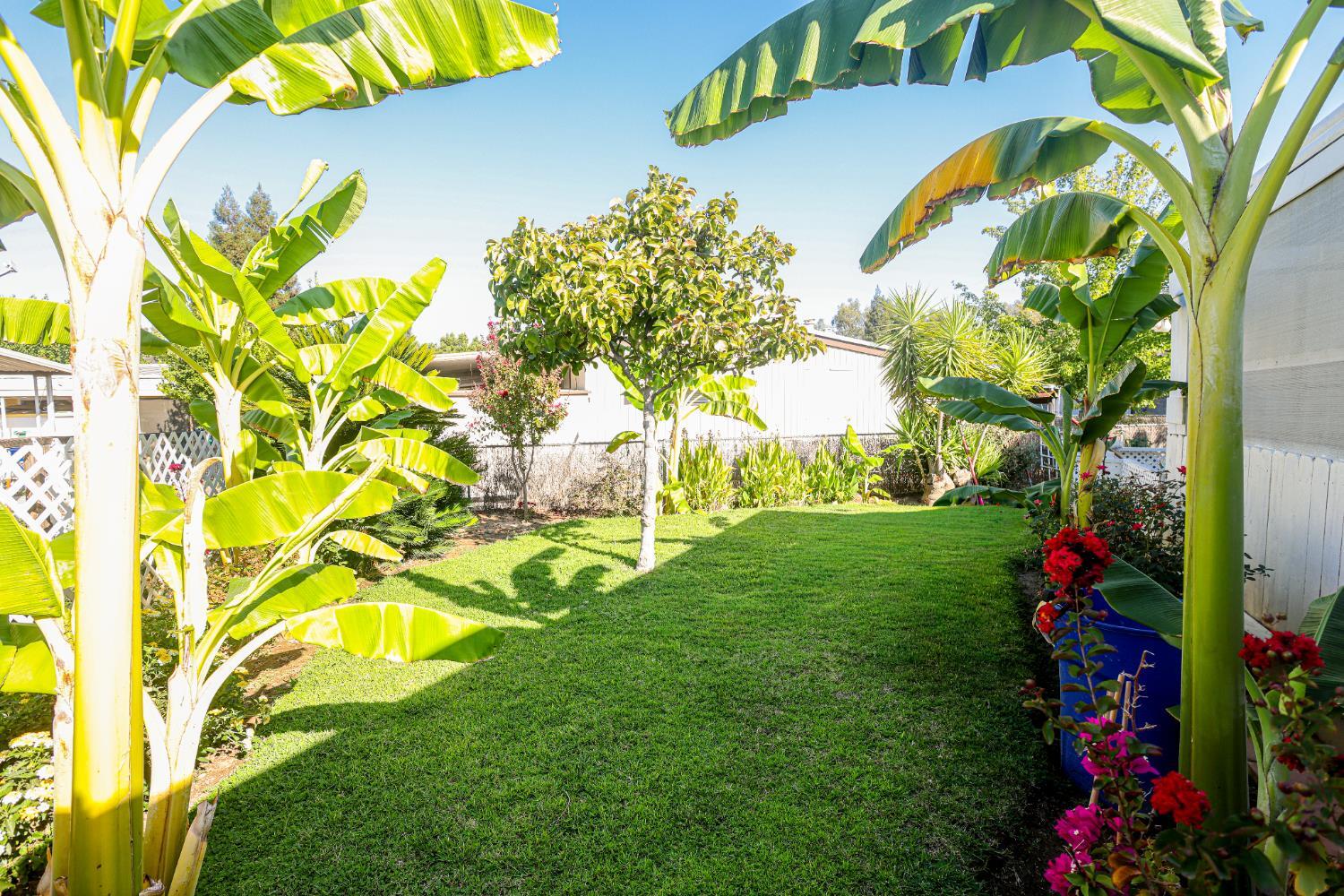 1300 W Olson Ave #61, Reedley, CA 93654