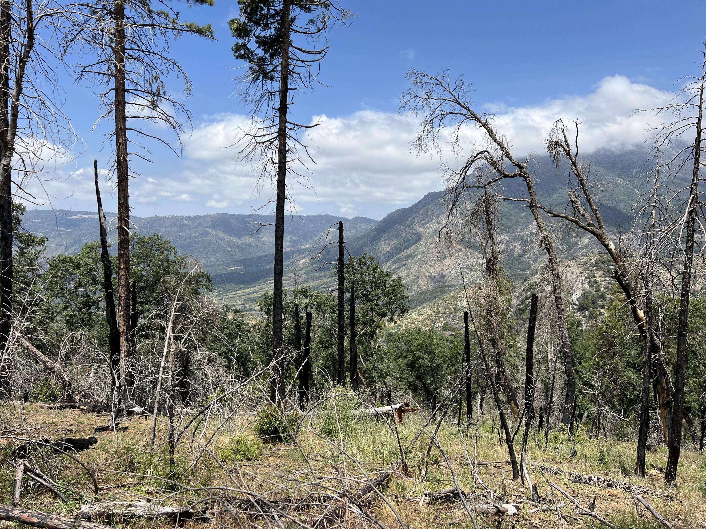 0 Balch Park Rd, Springville, CA 93265