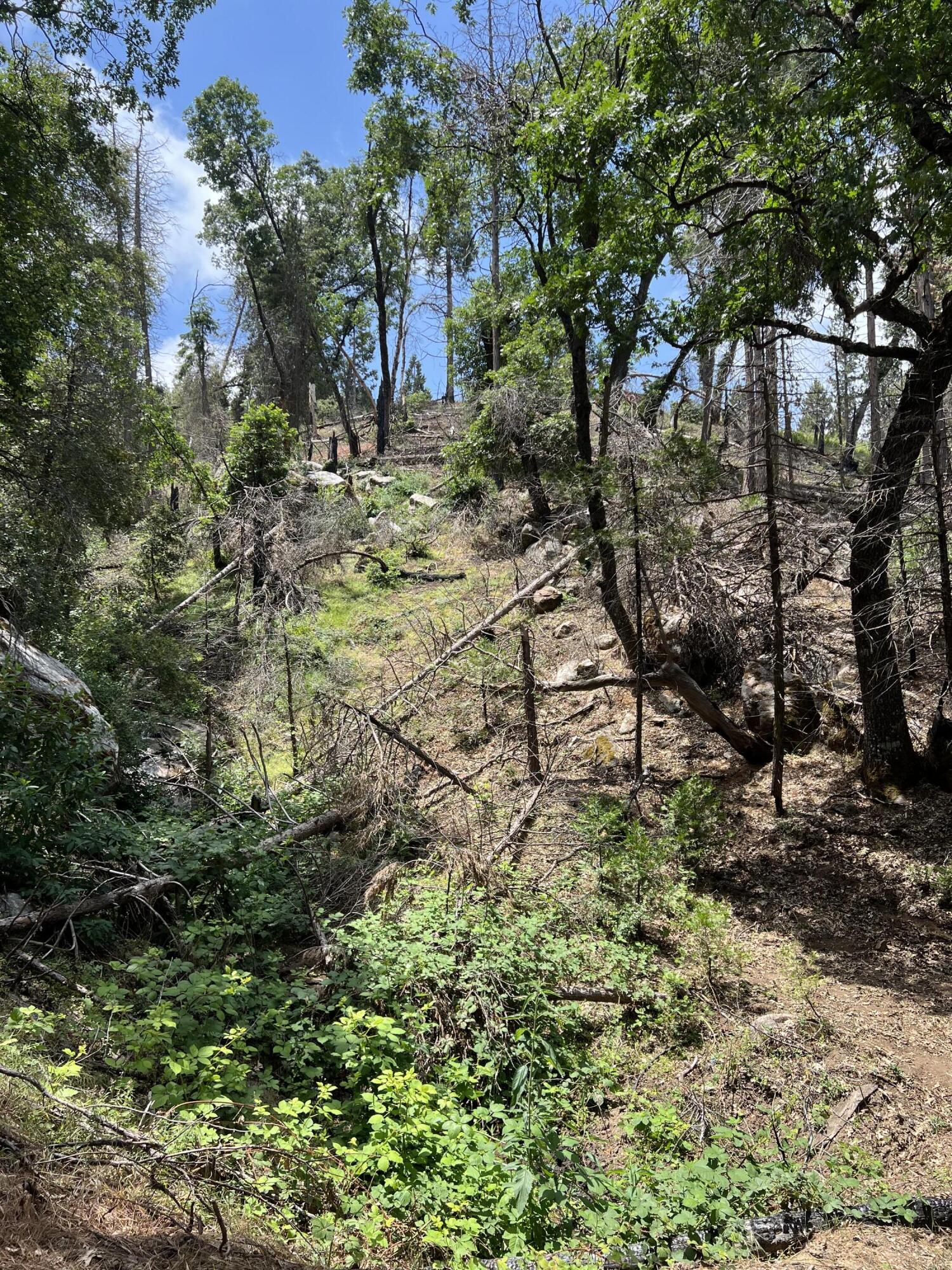 0 Balch Park Rd, Springville, CA 93265