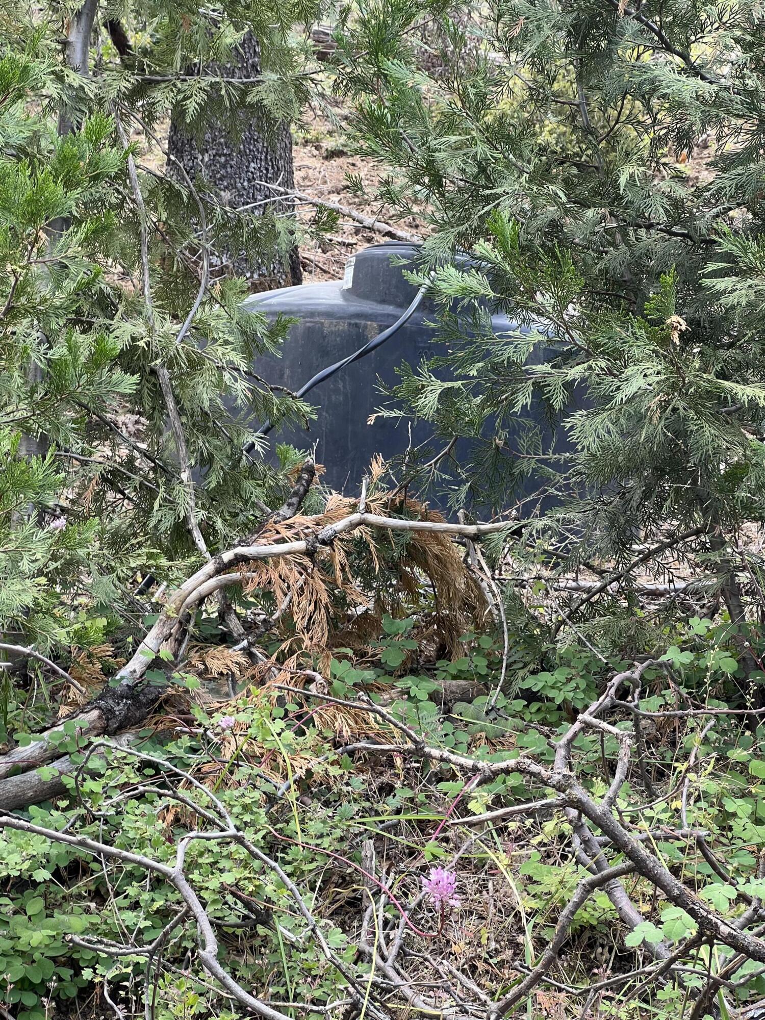 0 Balch Park Rd, Springville, CA 93265