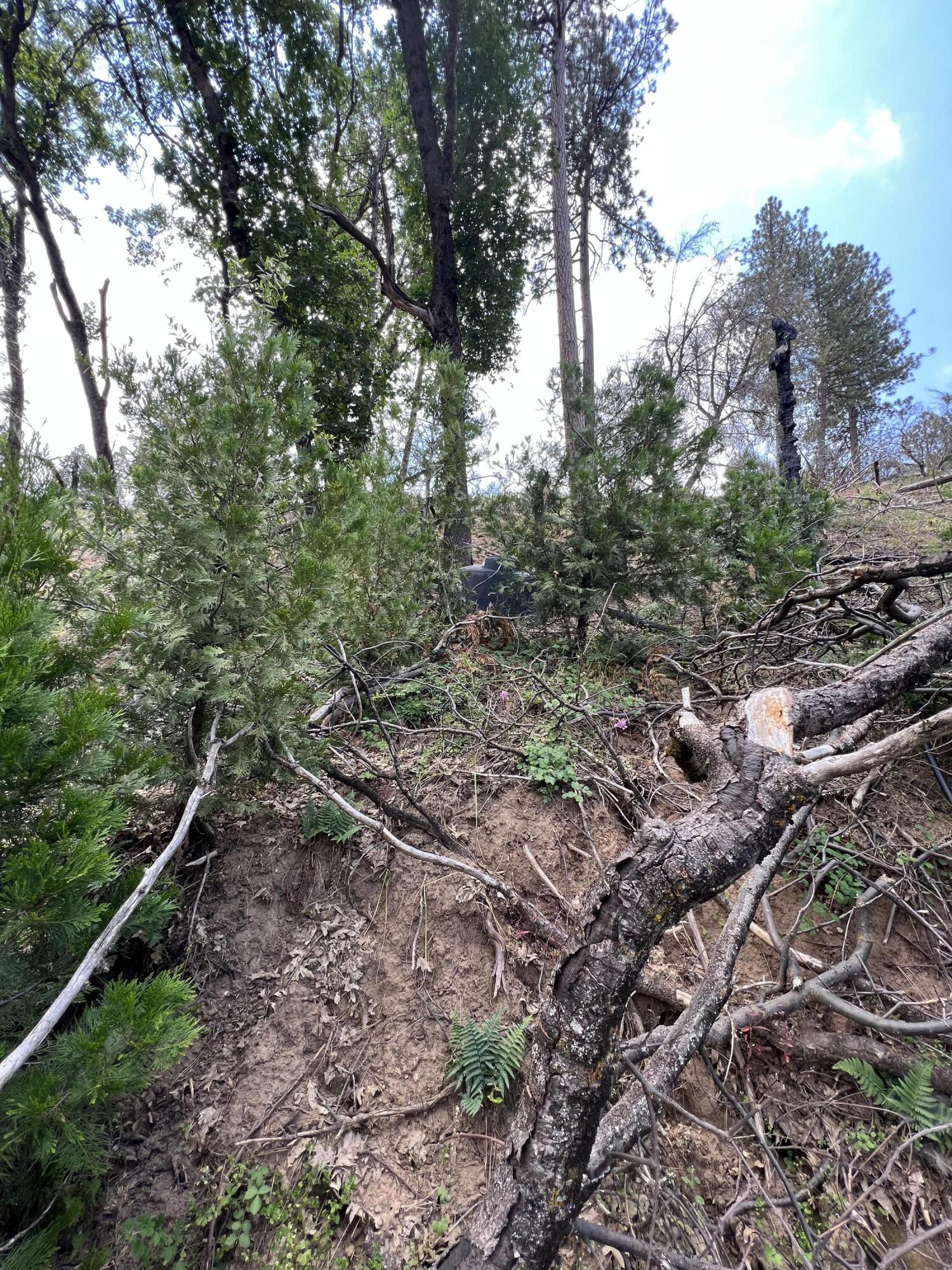 0 Balch Park Rd, Springville, CA 93265