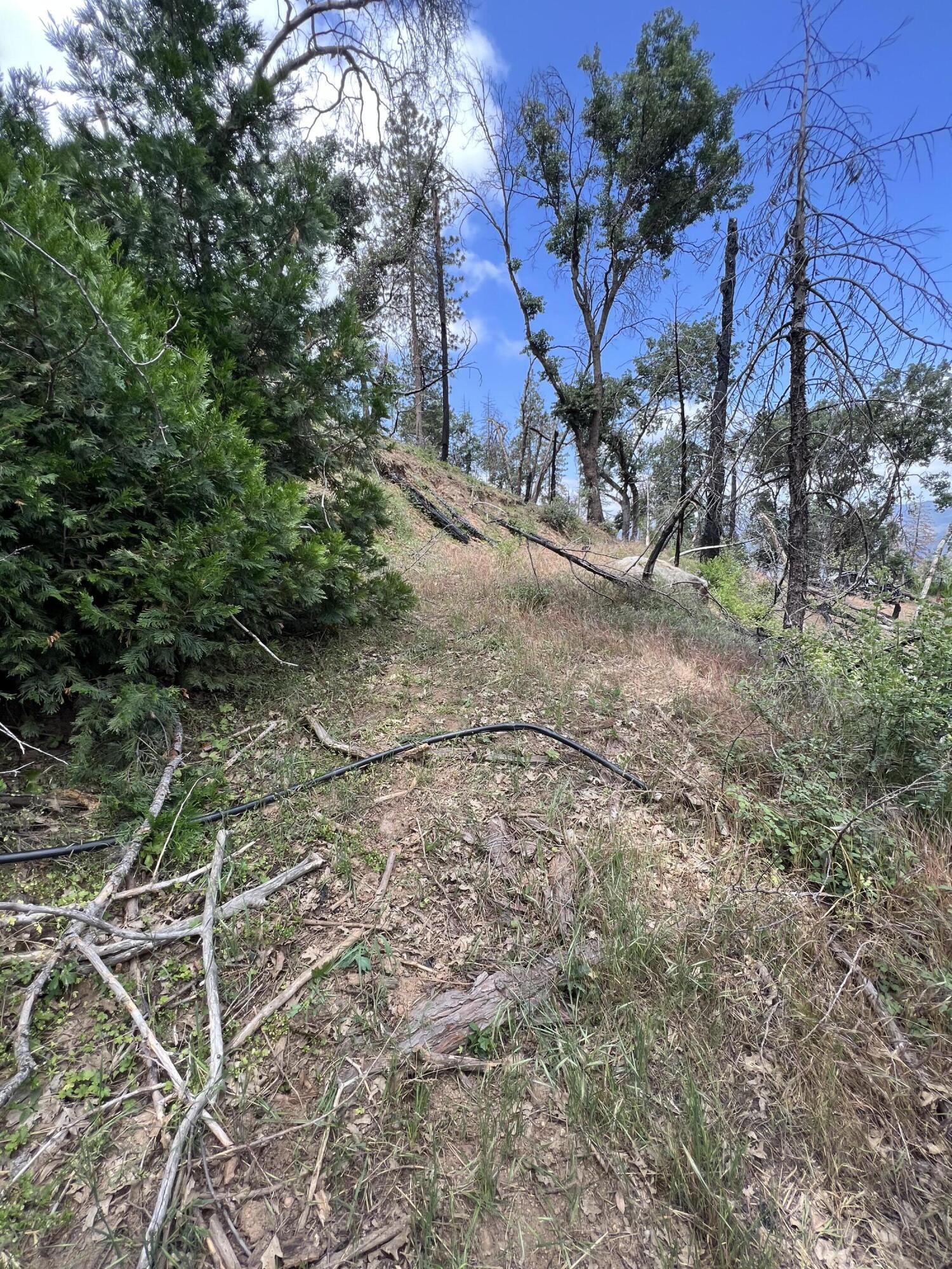 0 Balch Park Rd, Springville, CA 93265