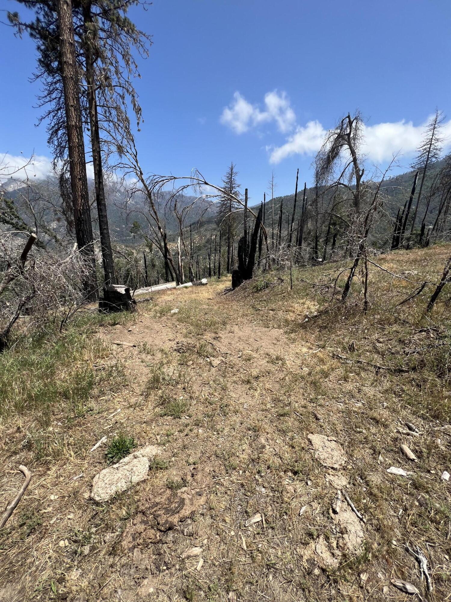 0 Balch Park Rd, Springville, CA 93265