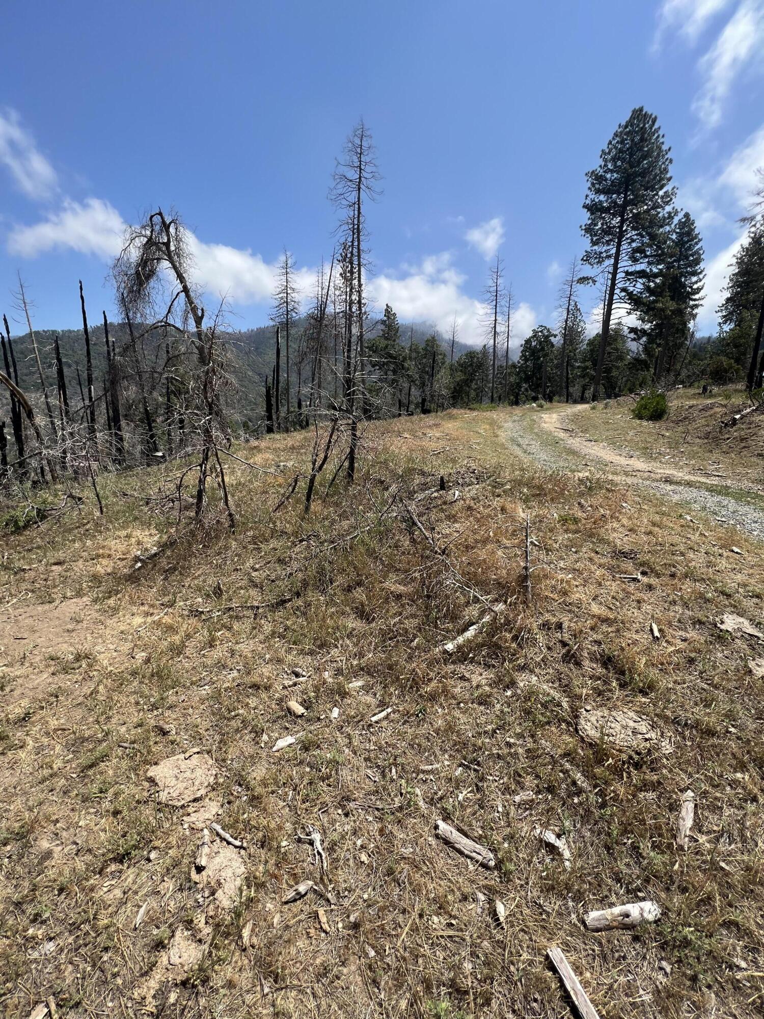 0 Balch Park Rd, Springville, CA 93265