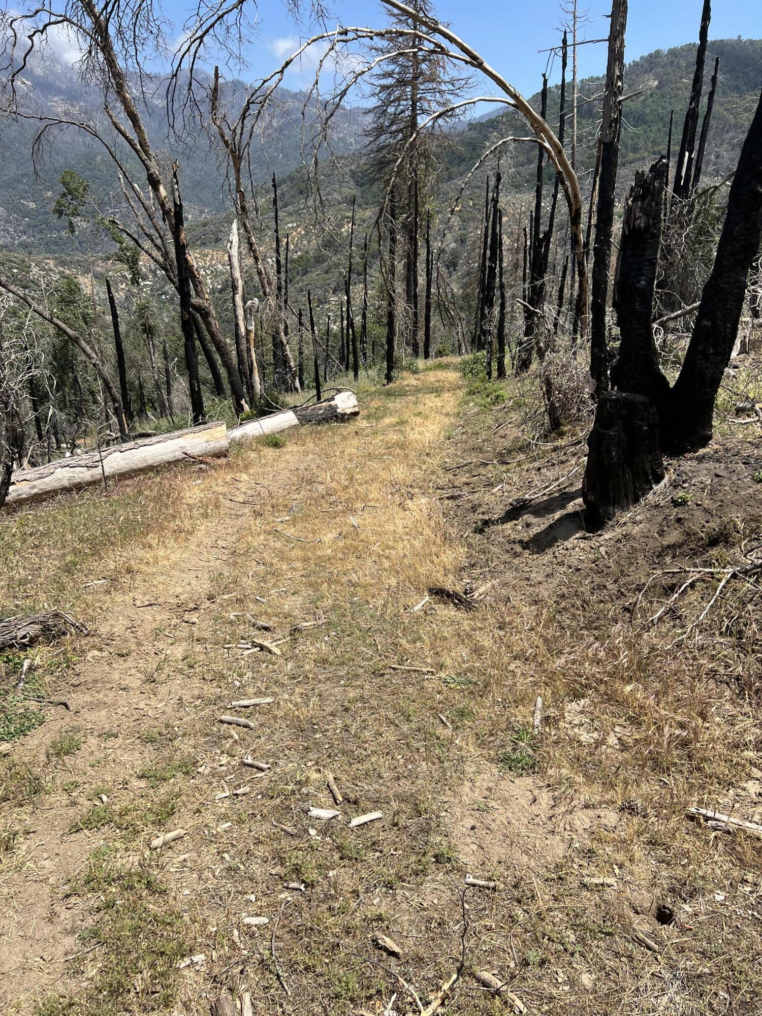 0 Balch Park Rd, Springville, CA 93265