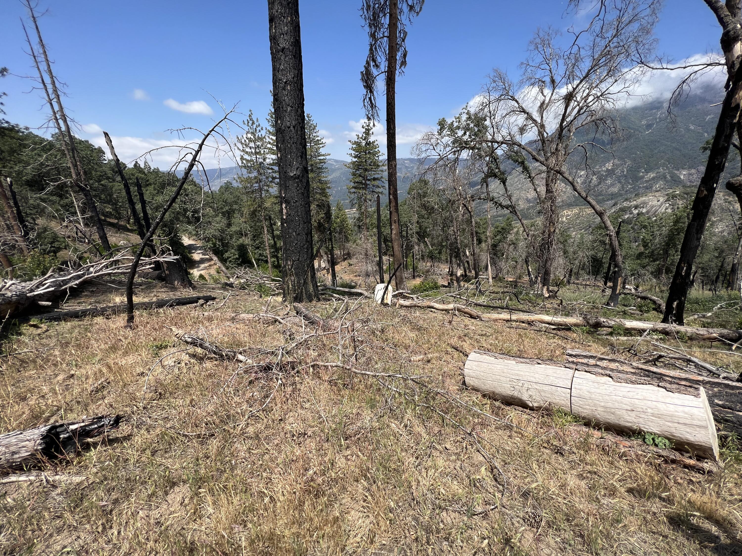 0 Balch Park Rd, Springville, CA 93265