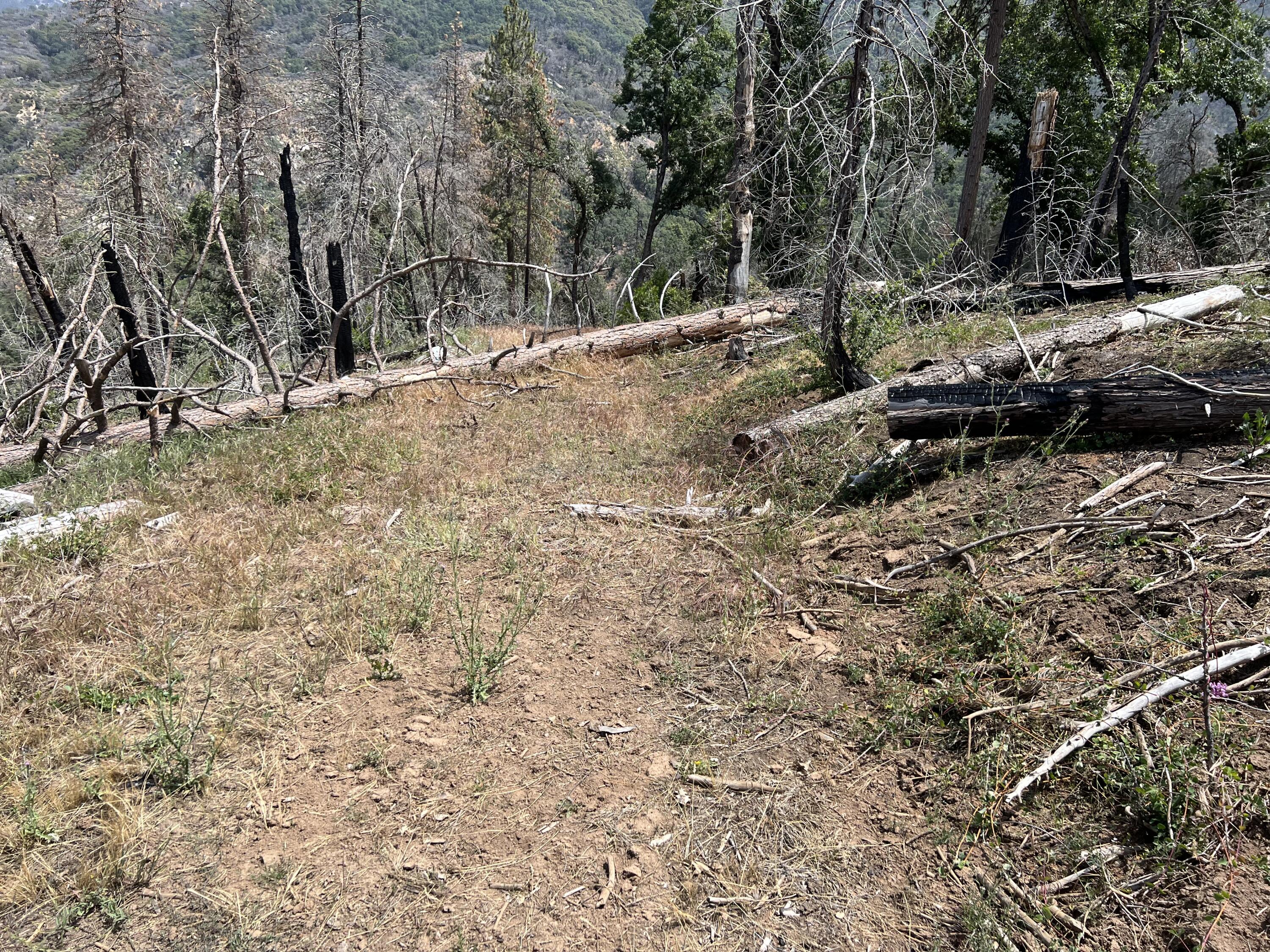 0 Balch Park Rd, Springville, CA 93265