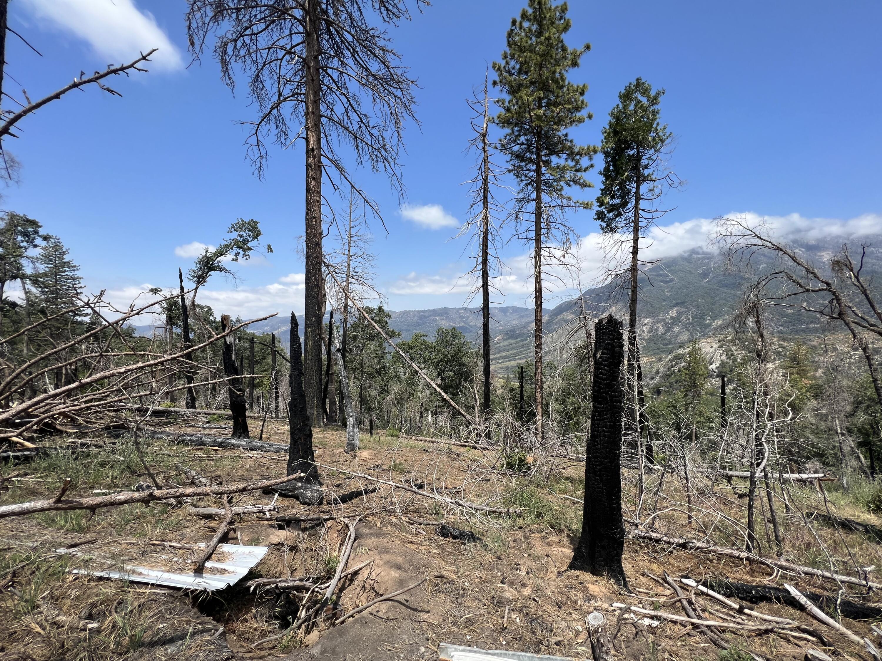 0 Balch Park Rd, Springville, CA 93265