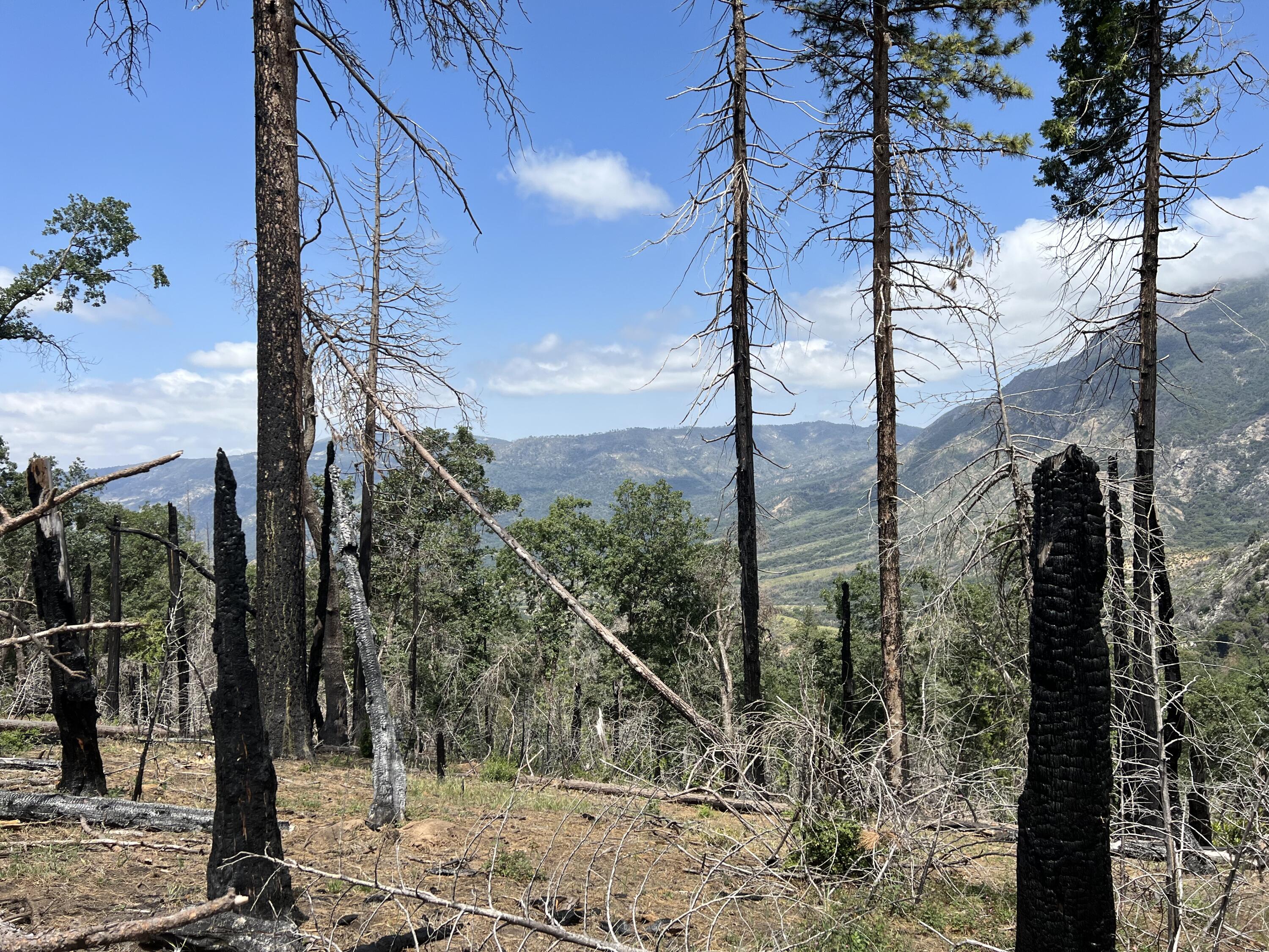 0 Balch Park Rd, Springville, CA 93265