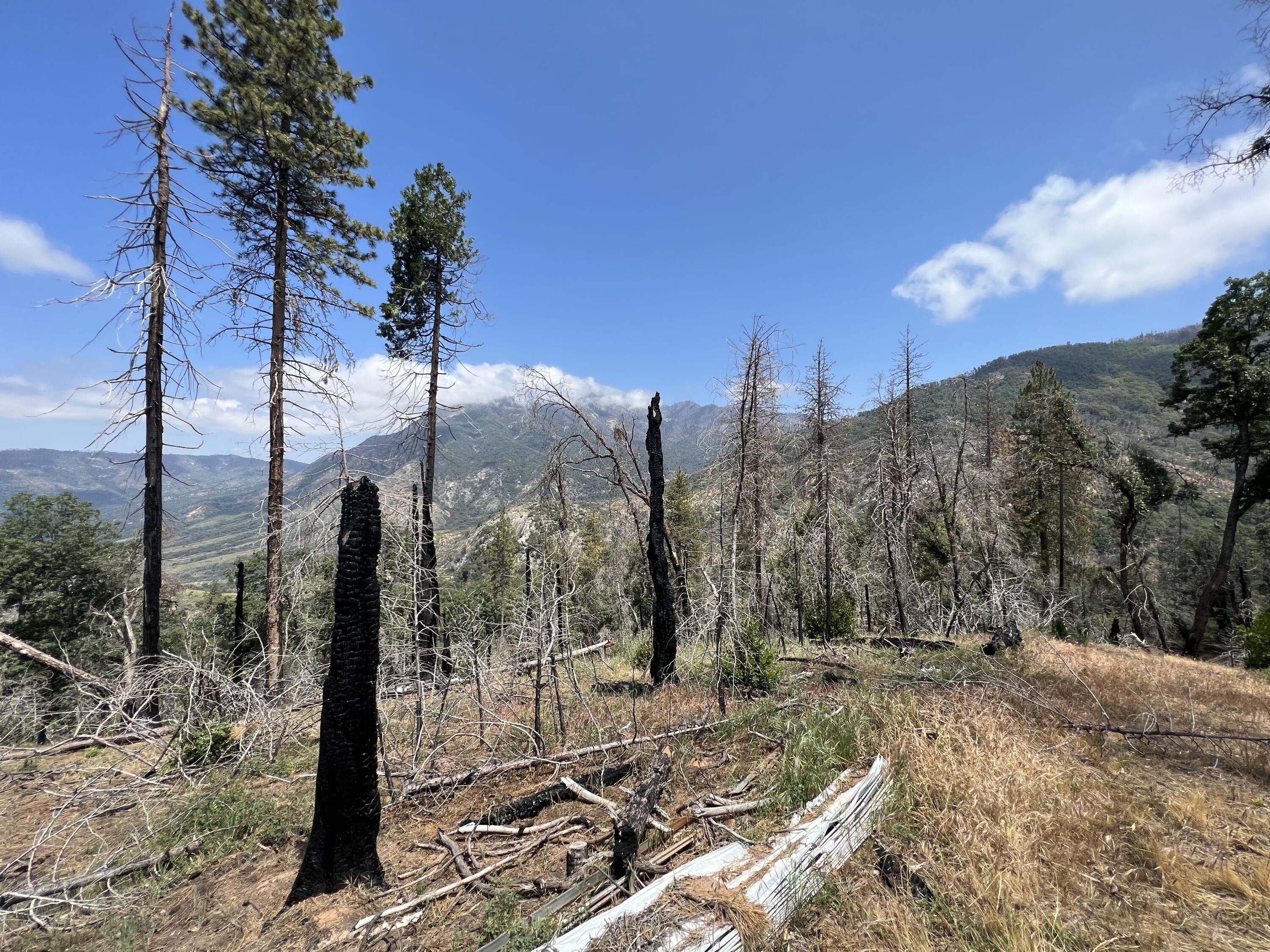 0 Balch Park Rd, Springville, CA 93265