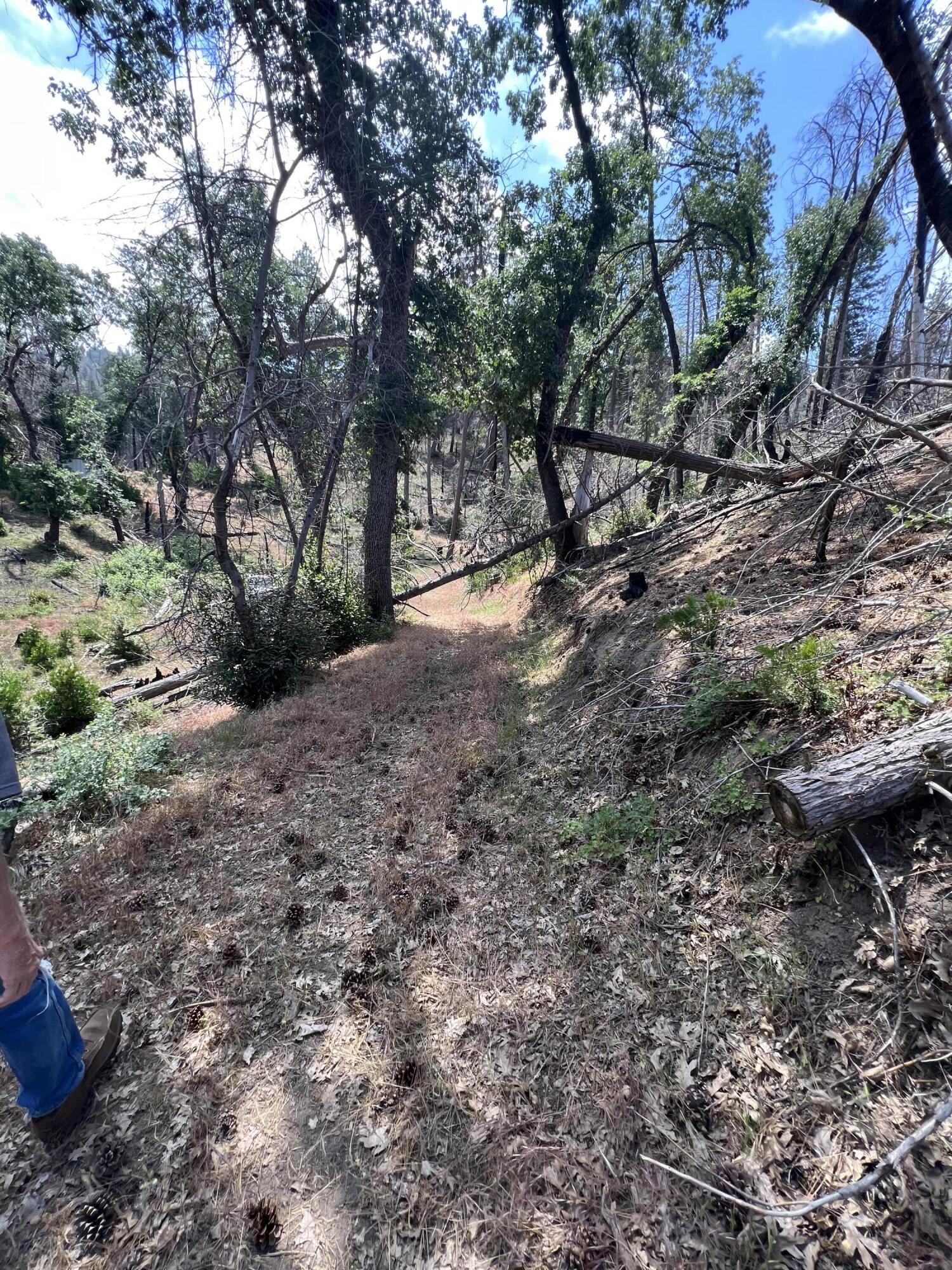 0 Balch Park Rd, Springville, CA 93265