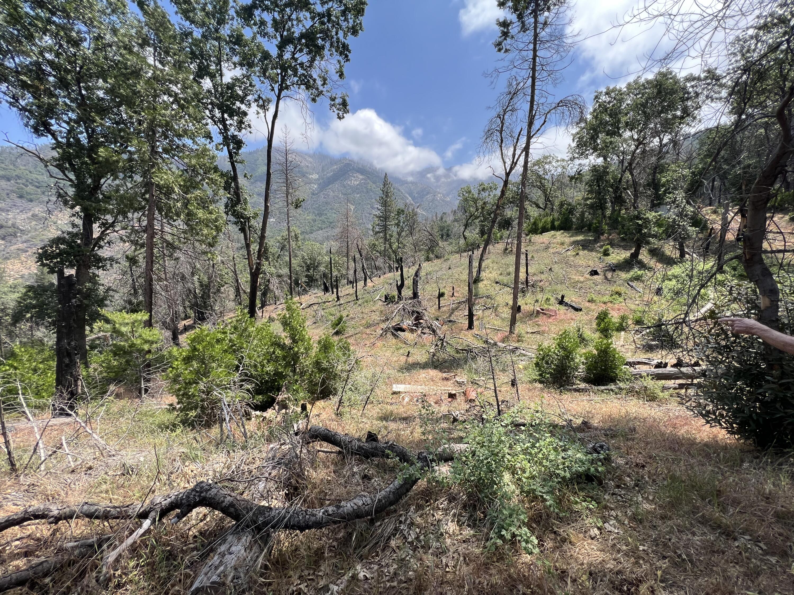 0 Balch Park Rd, Springville, CA 93265