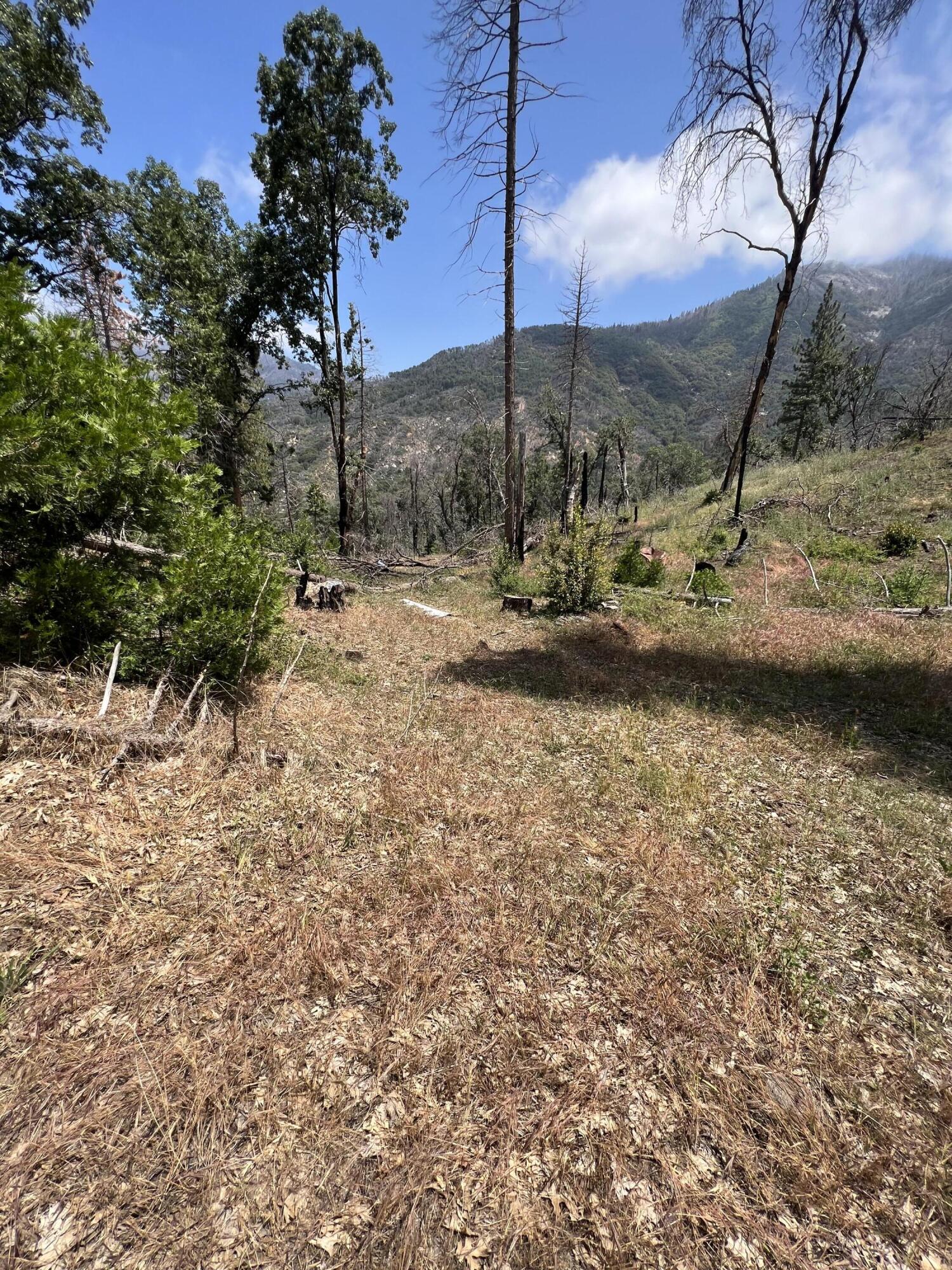 0 Balch Park Rd, Springville, CA 93265