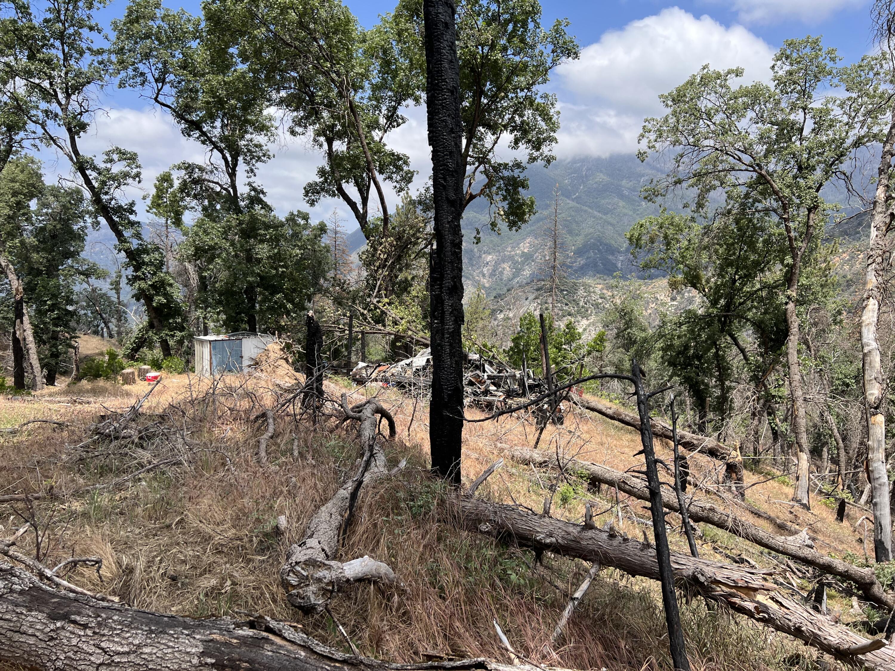 0 Balch Park Rd, Springville, CA 93265