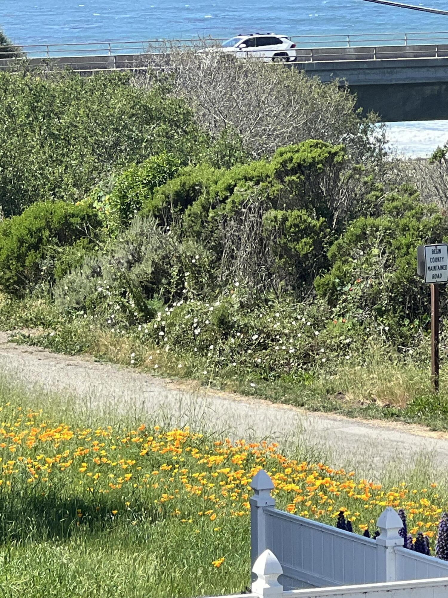 540 Pico Ave #117, San Simeon, CA 93452