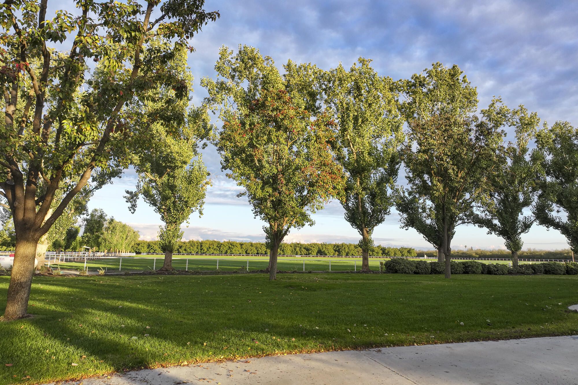 16500 Rd 152, Tulare, CA 93274