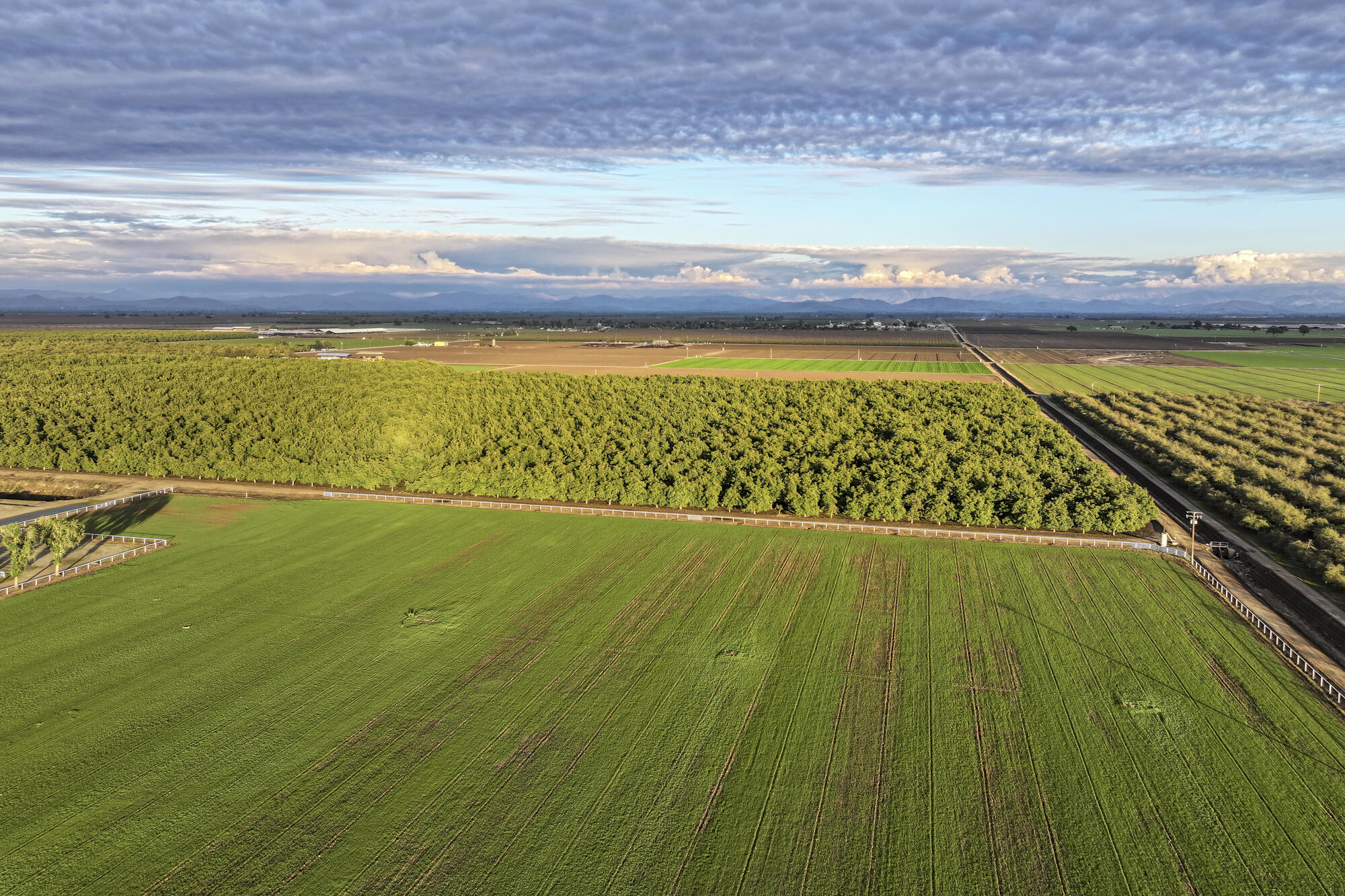 16500 Rd 152, Tulare, CA 93274