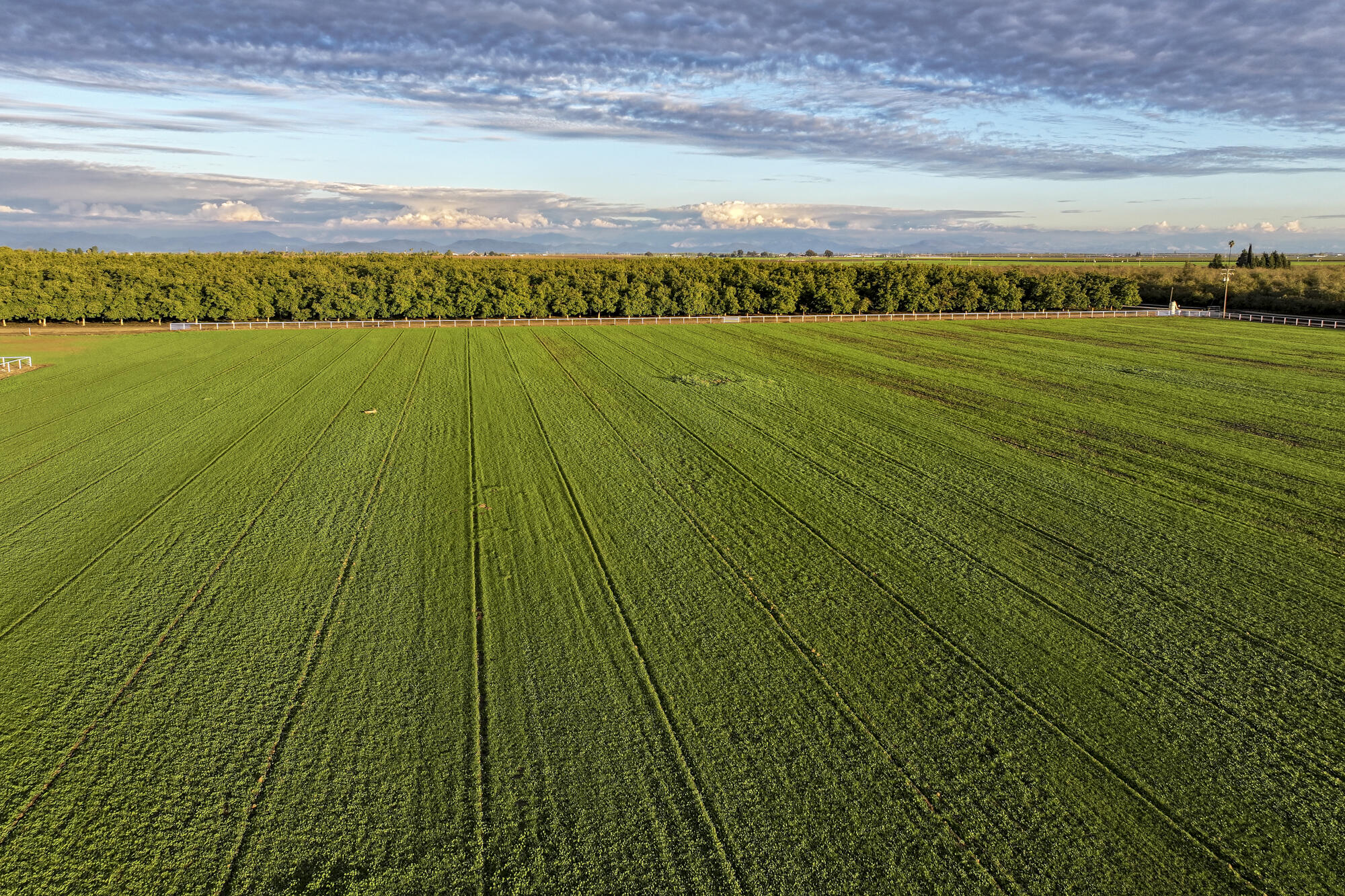 16500 Rd 152, Tulare, CA 93274