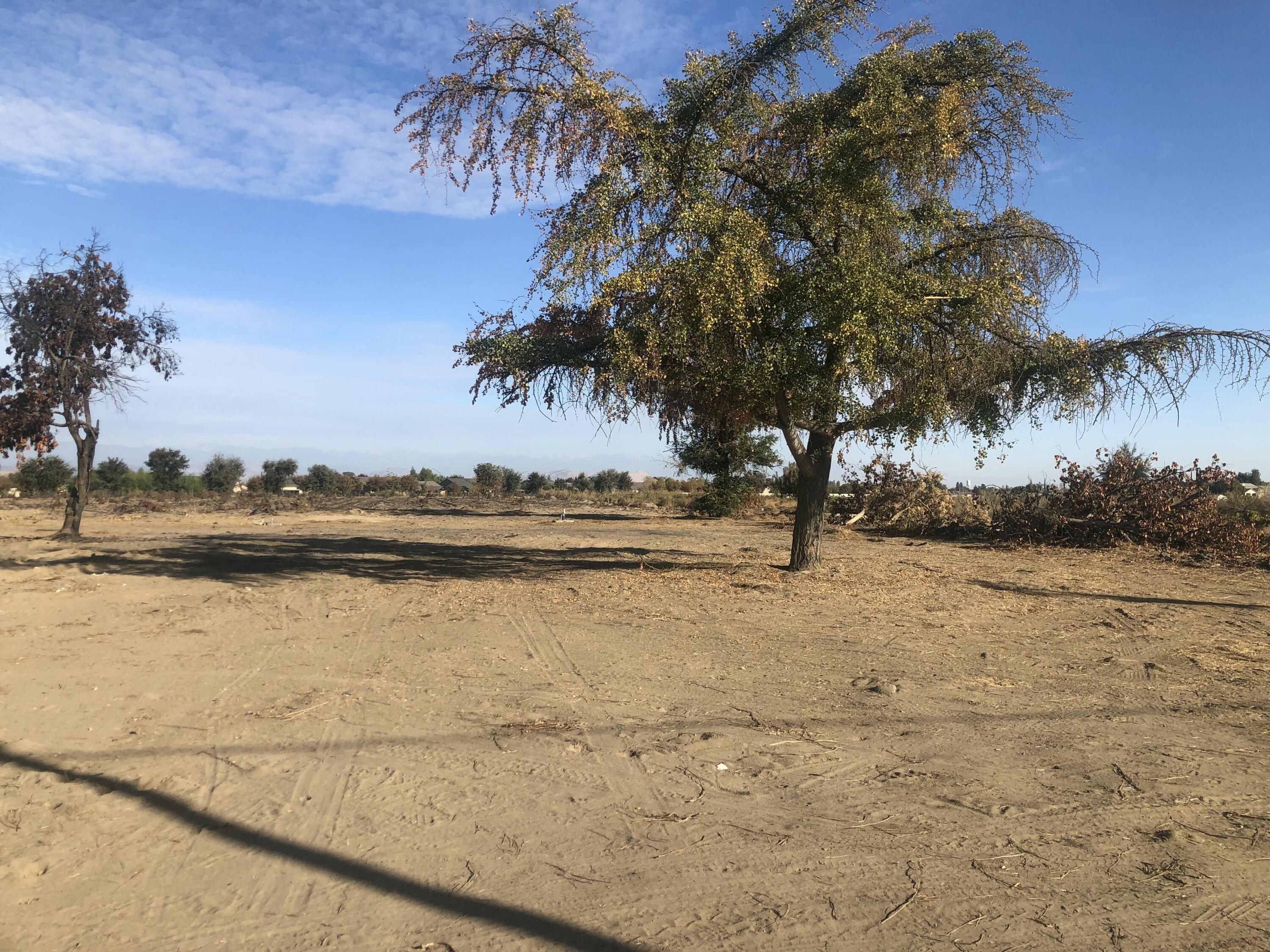 42162 Englehart Ave, Dinuba, CA 93618