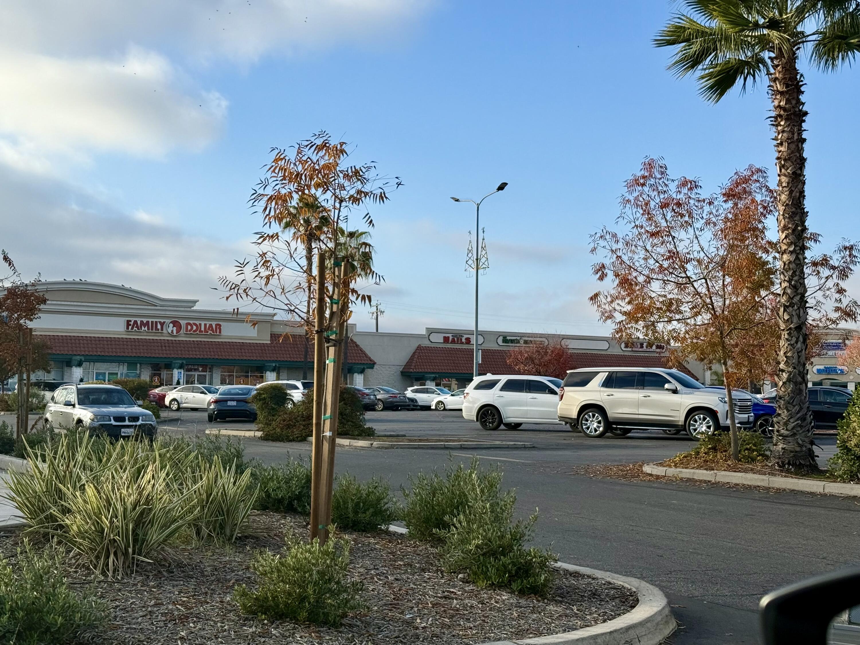 1514 Manning Ave, Reedley, CA 93654