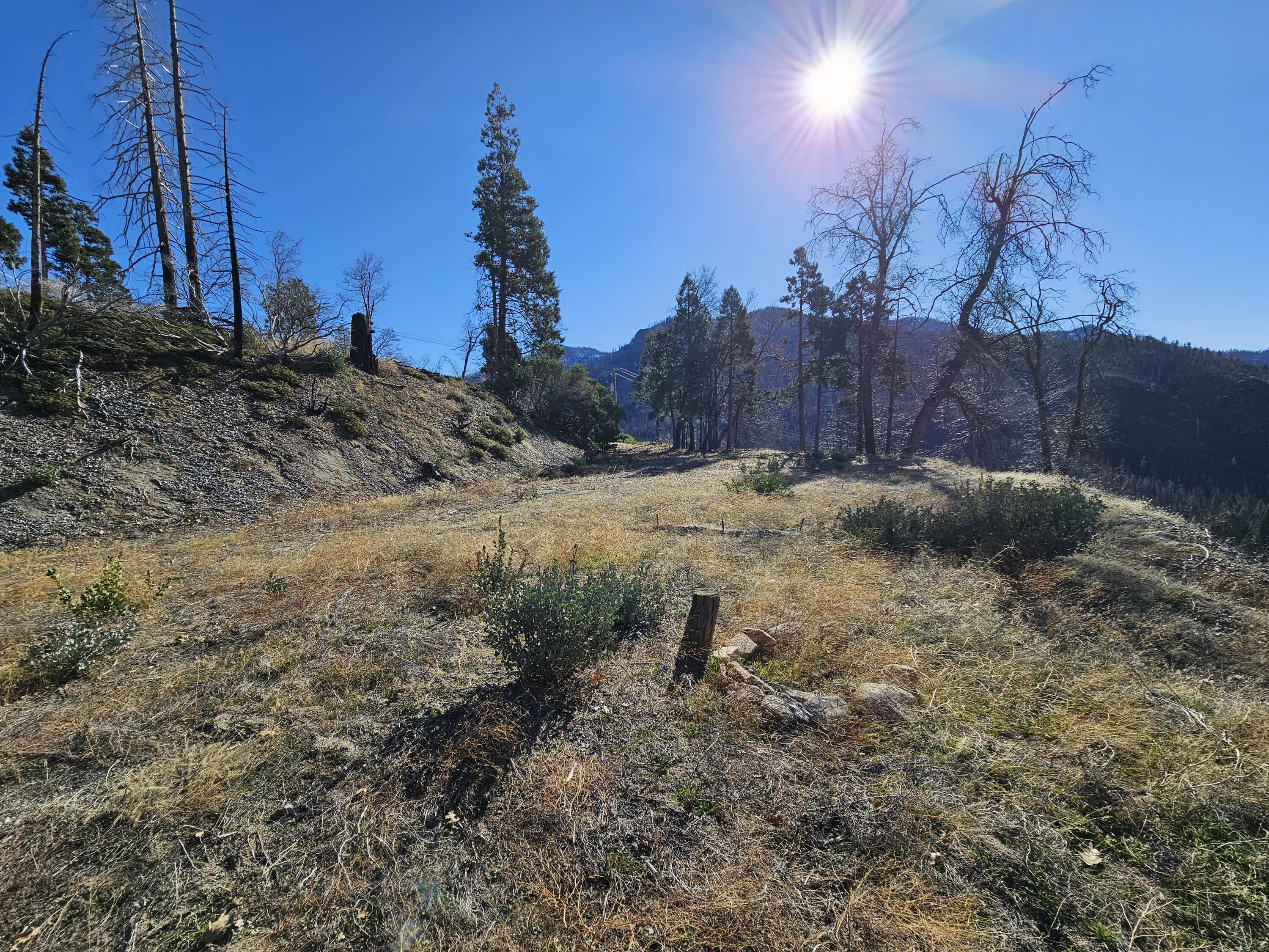 0 Circle Way Way, Cedar Slope, CA 93265