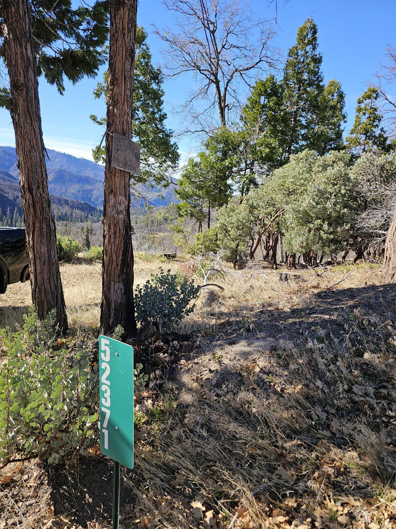 0 Circle Way Way, Cedar Slope, CA 93265