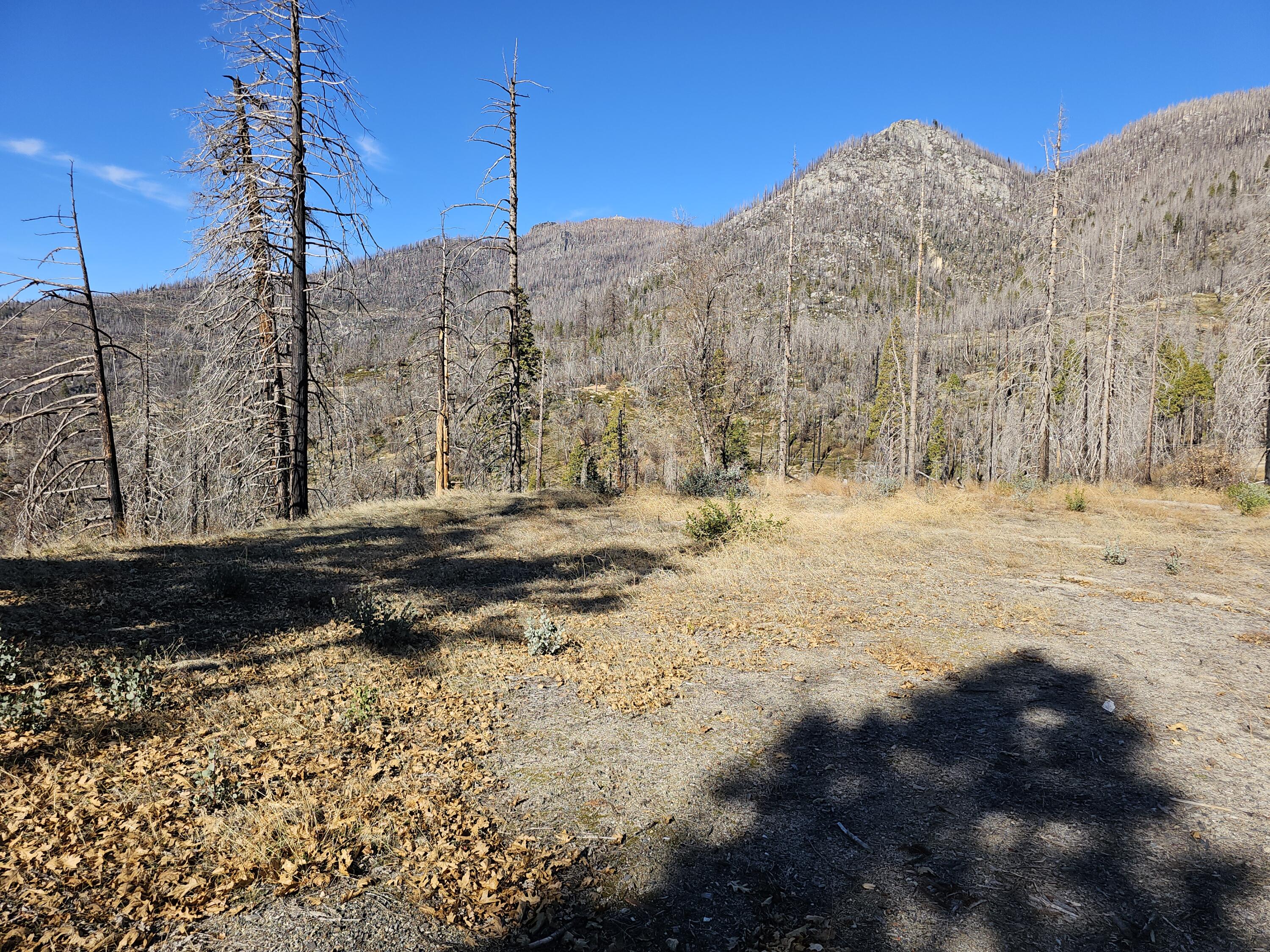 0 Circle Way Way, Cedar Slope, CA 93265