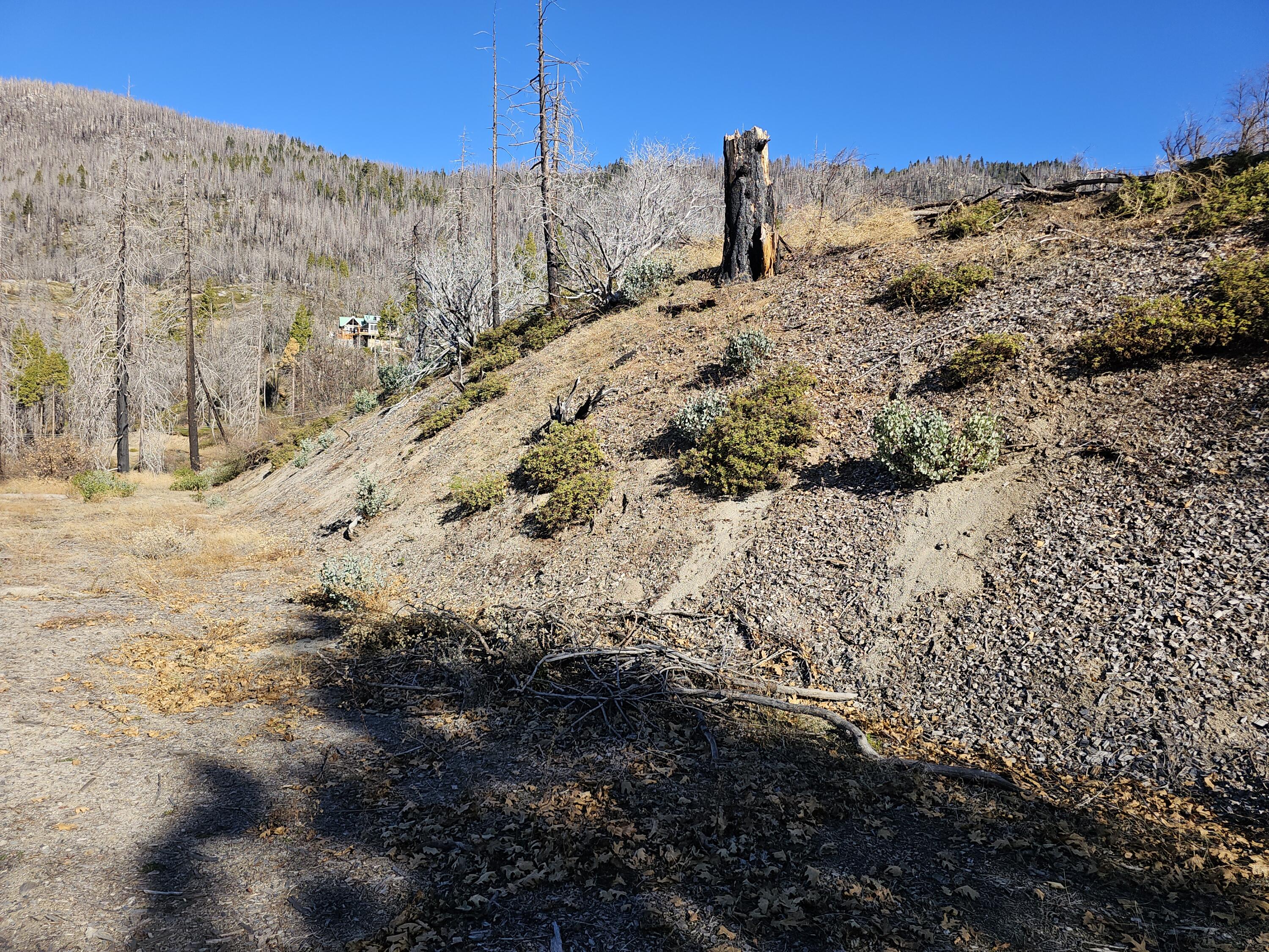 0 Circle Way Way, Cedar Slope, CA 93265