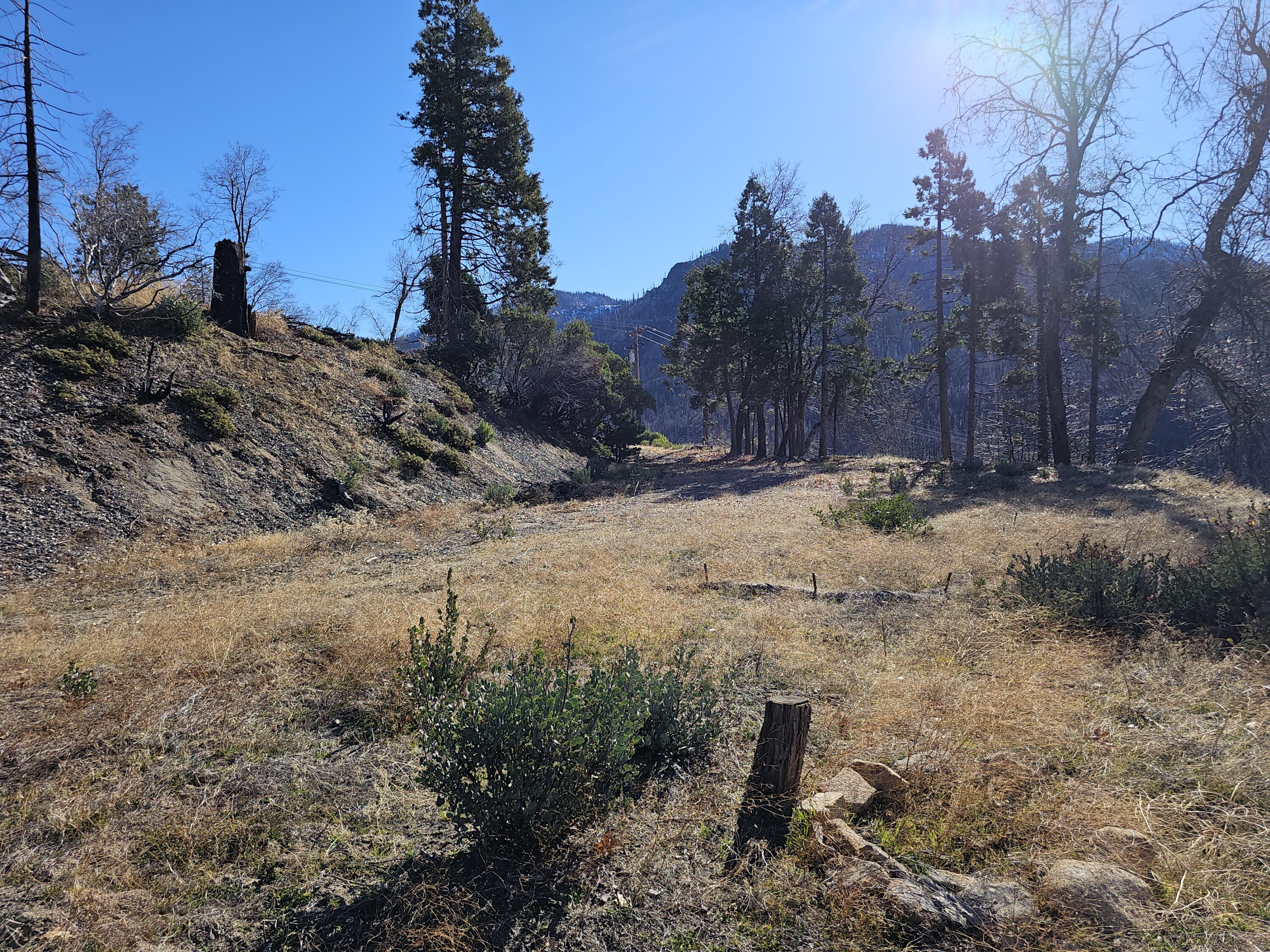 0 Circle Way Way, Cedar Slope, CA 93265