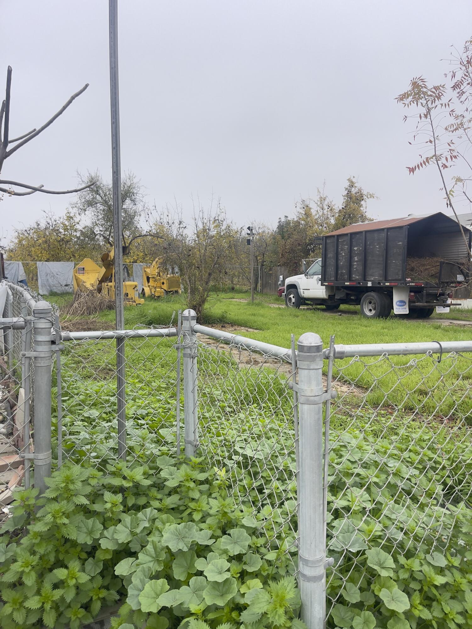 632 S Avery Ave, Farmersville, CA 93223