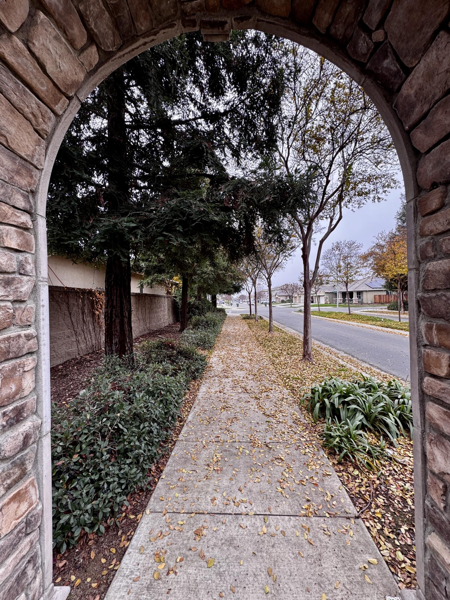 2945 W Vine Ave, Visalia, CA 93291