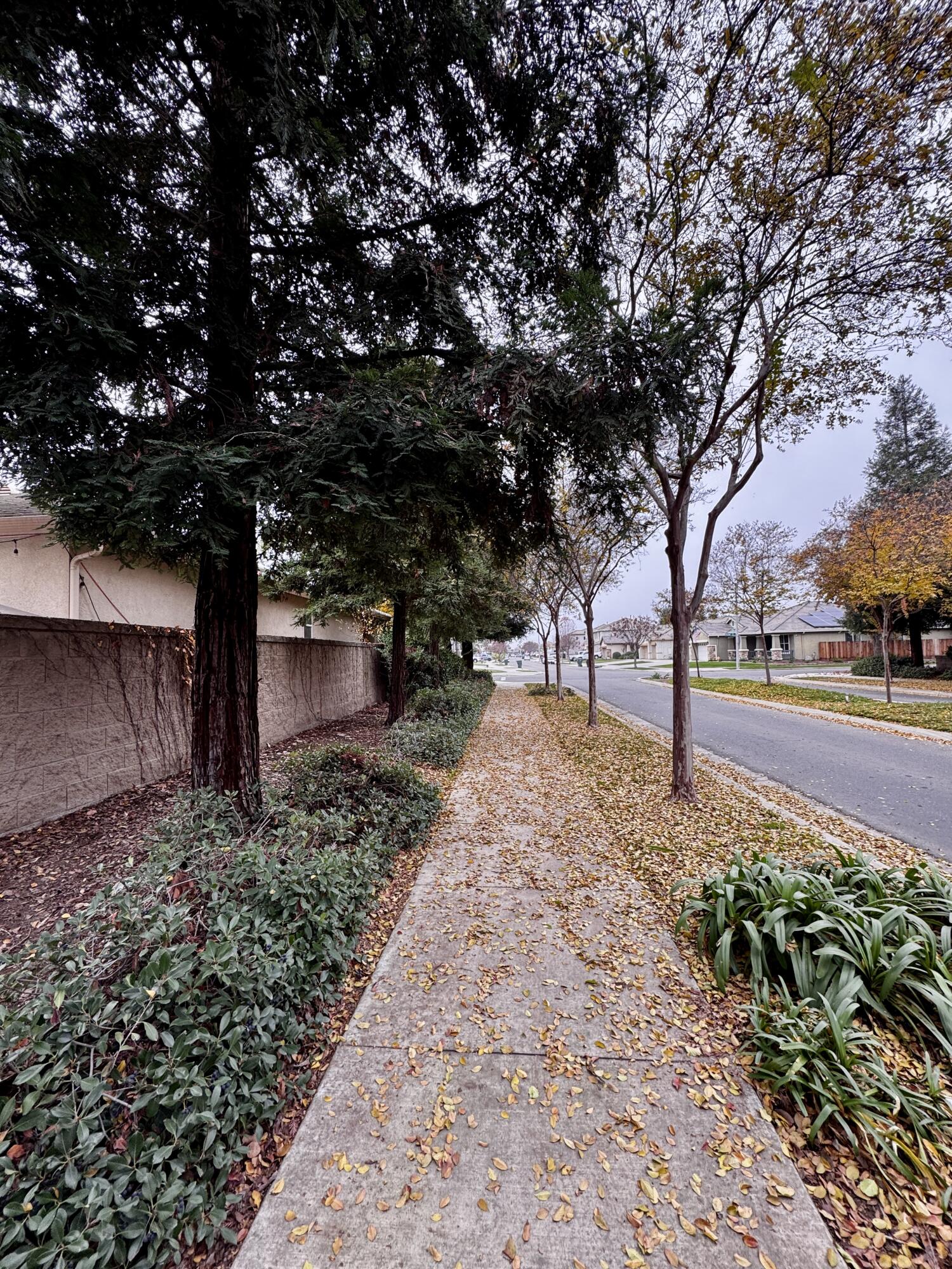 2945 W Vine Ave, Visalia, CA 93291