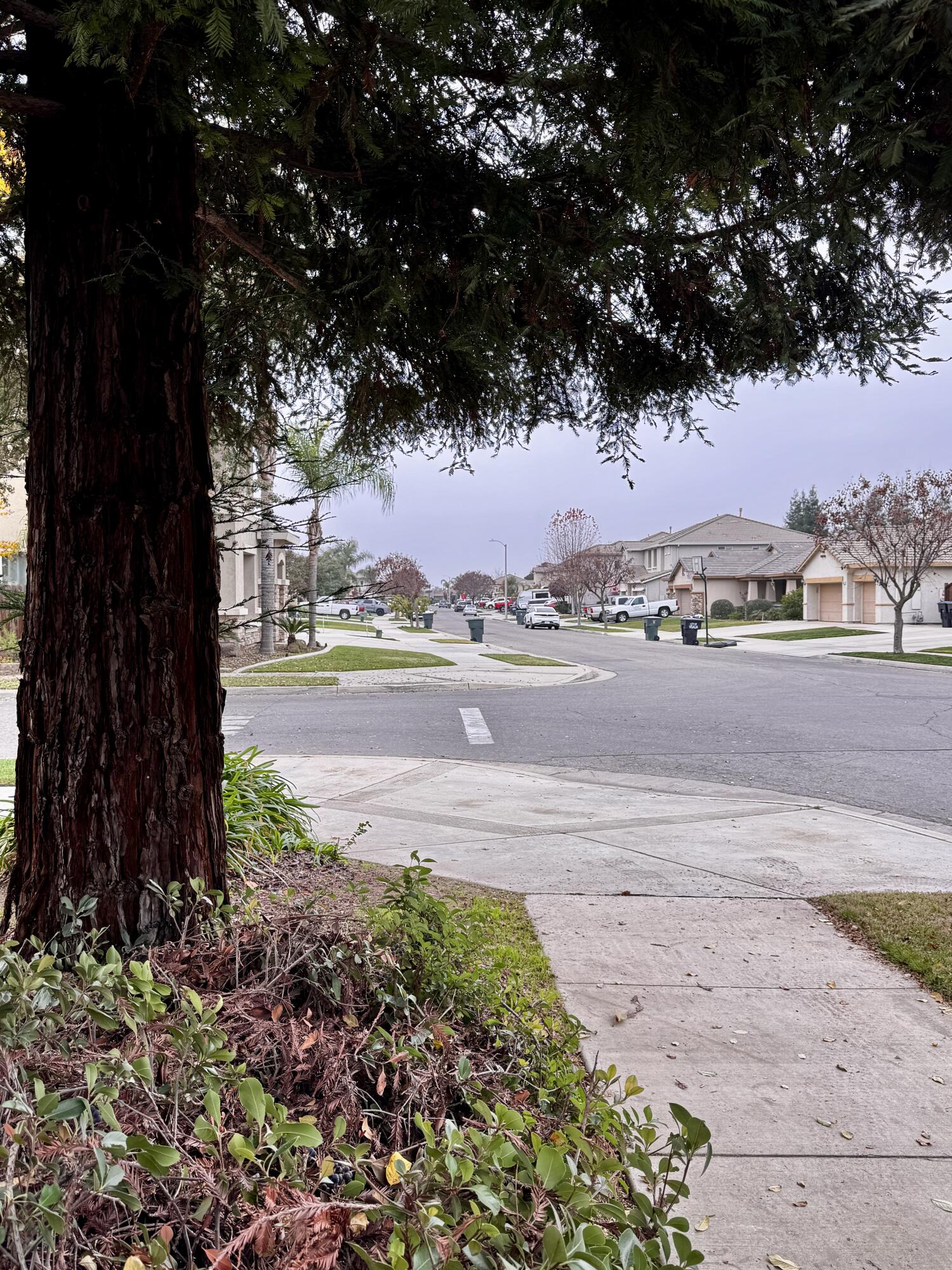 2945 W Vine Ave, Visalia, CA 93291