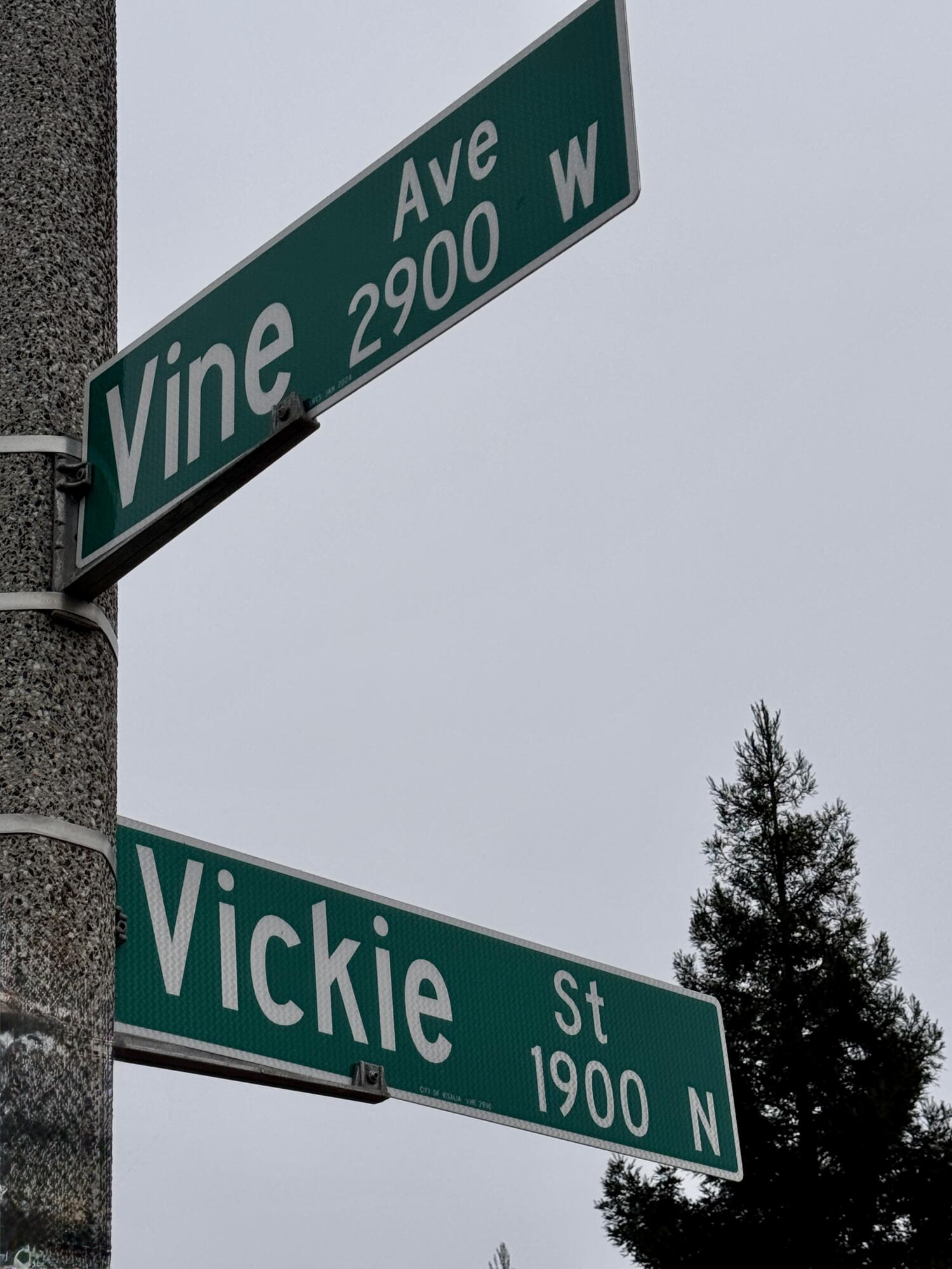 2945 W Vine Ave, Visalia, CA 93291