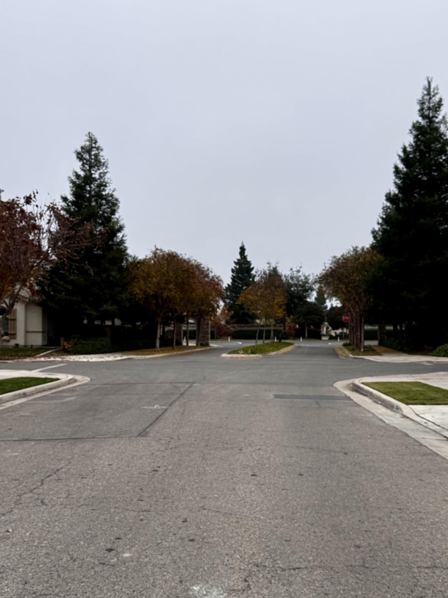 2945 W Vine Ave, Visalia, CA 93291