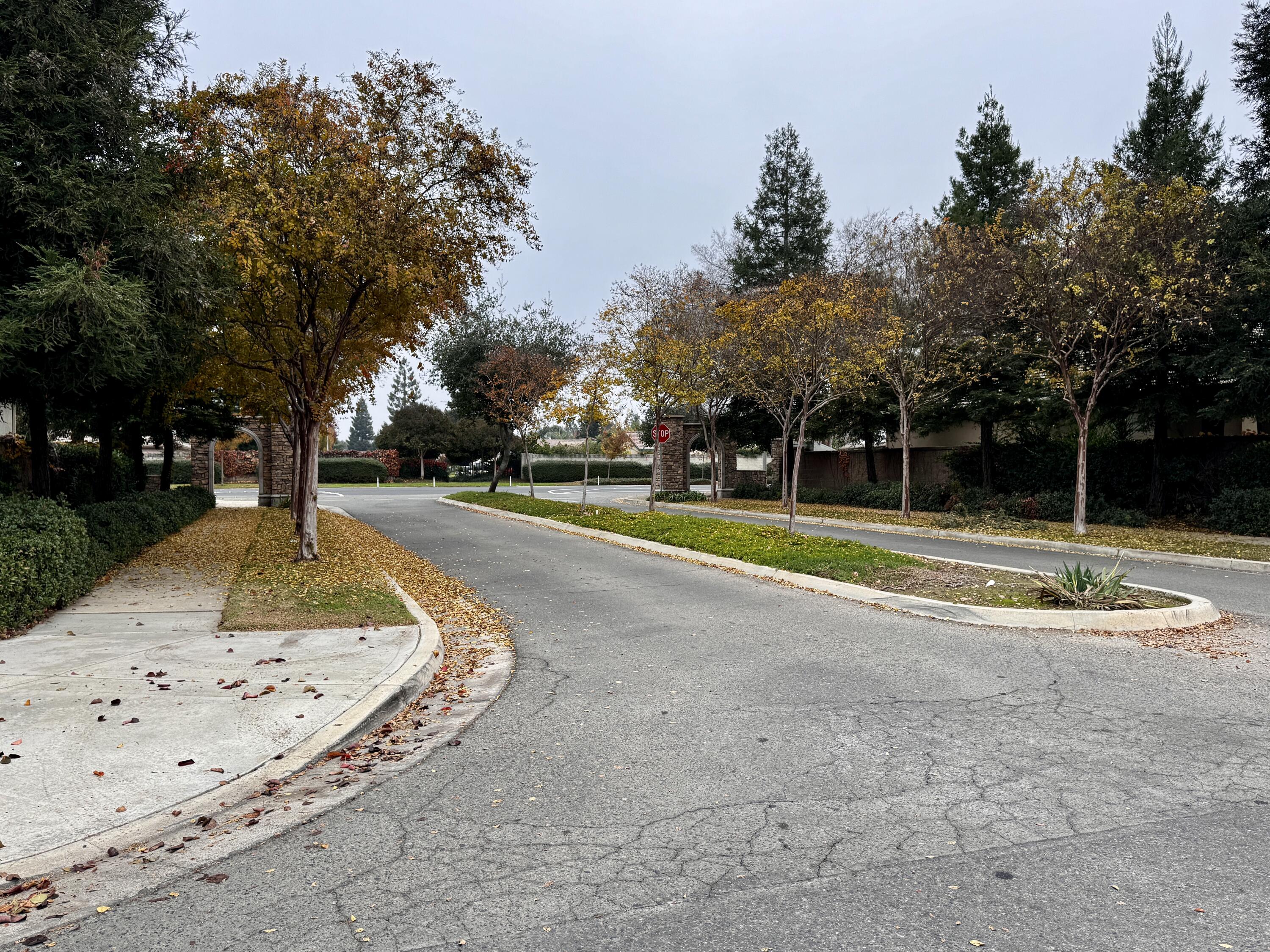 2945 W Vine Ave, Visalia, CA 93291