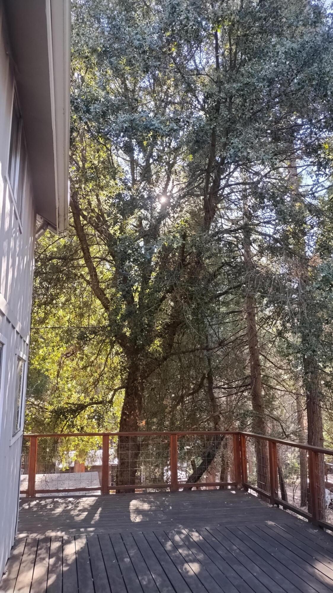 594 Loop Dr, Camp Nelson, CA 93265