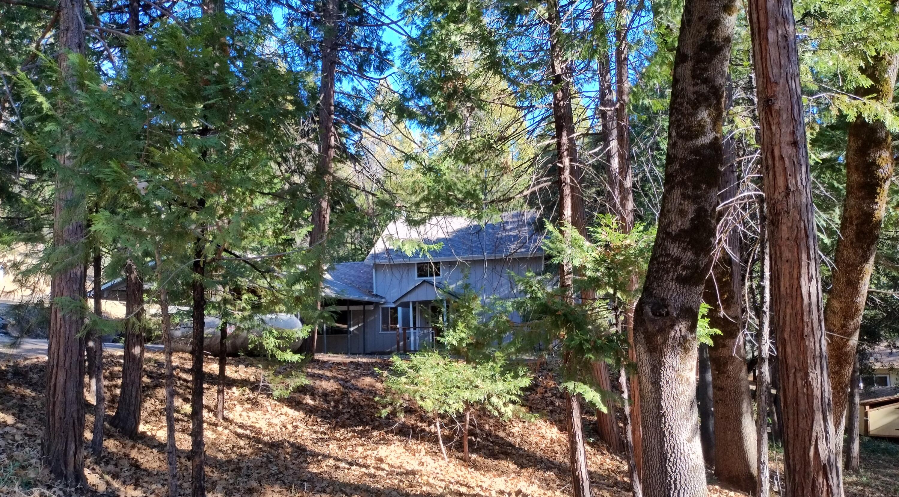 594 Loop Dr, Camp Nelson, CA 93265