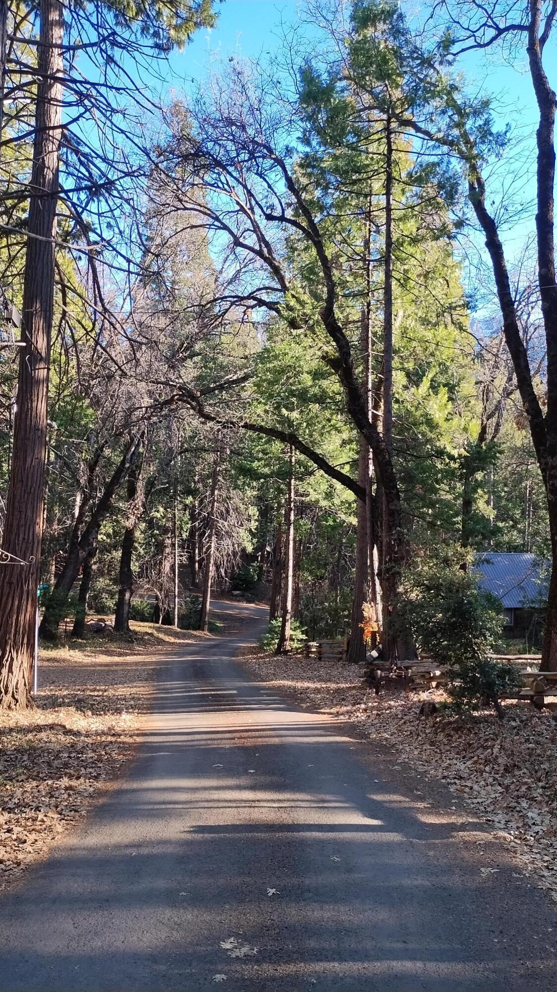 594 Loop Dr, Camp Nelson, CA 93265