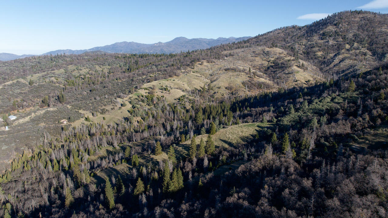 0 Posey, Posey, CA 93260